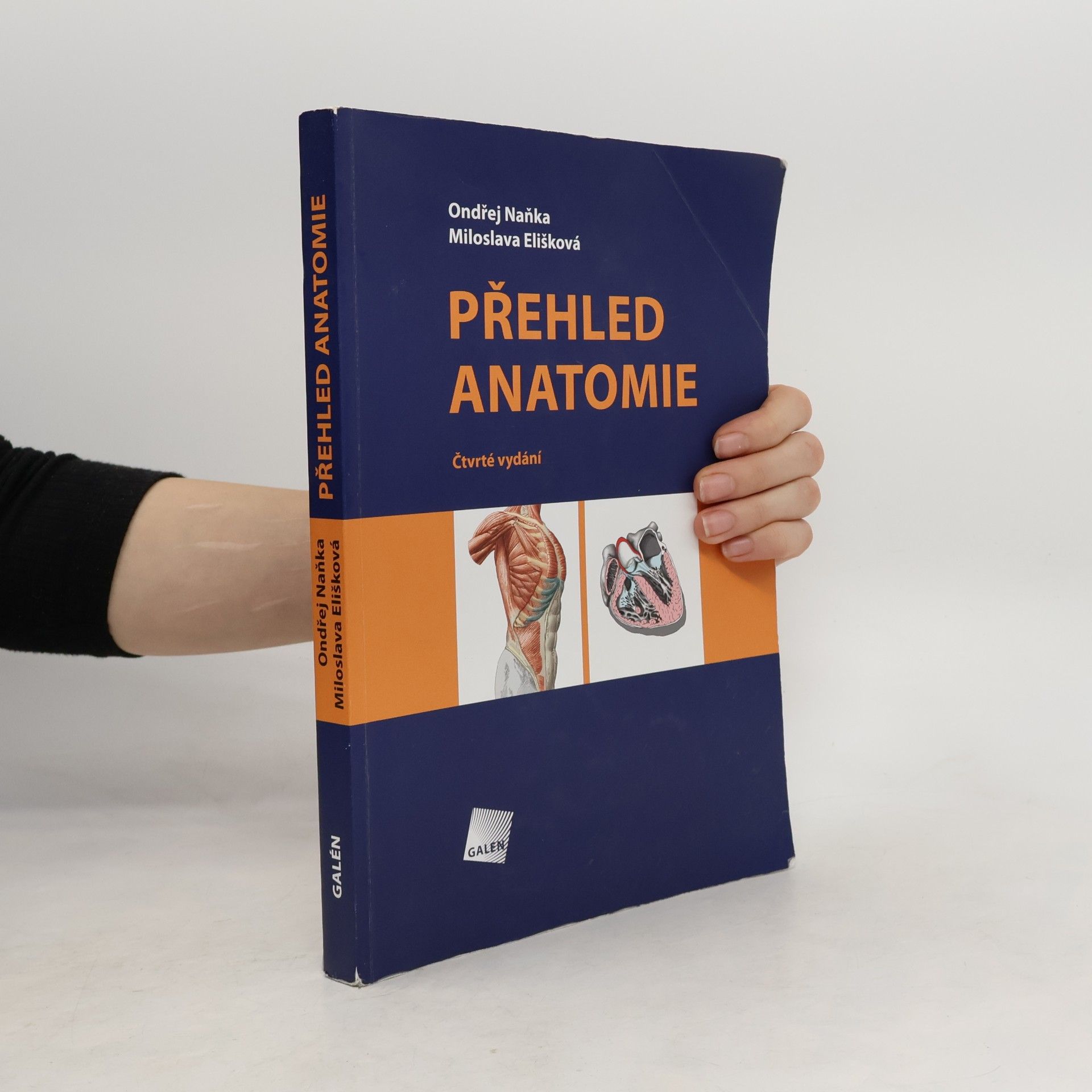 Přehled anatomie