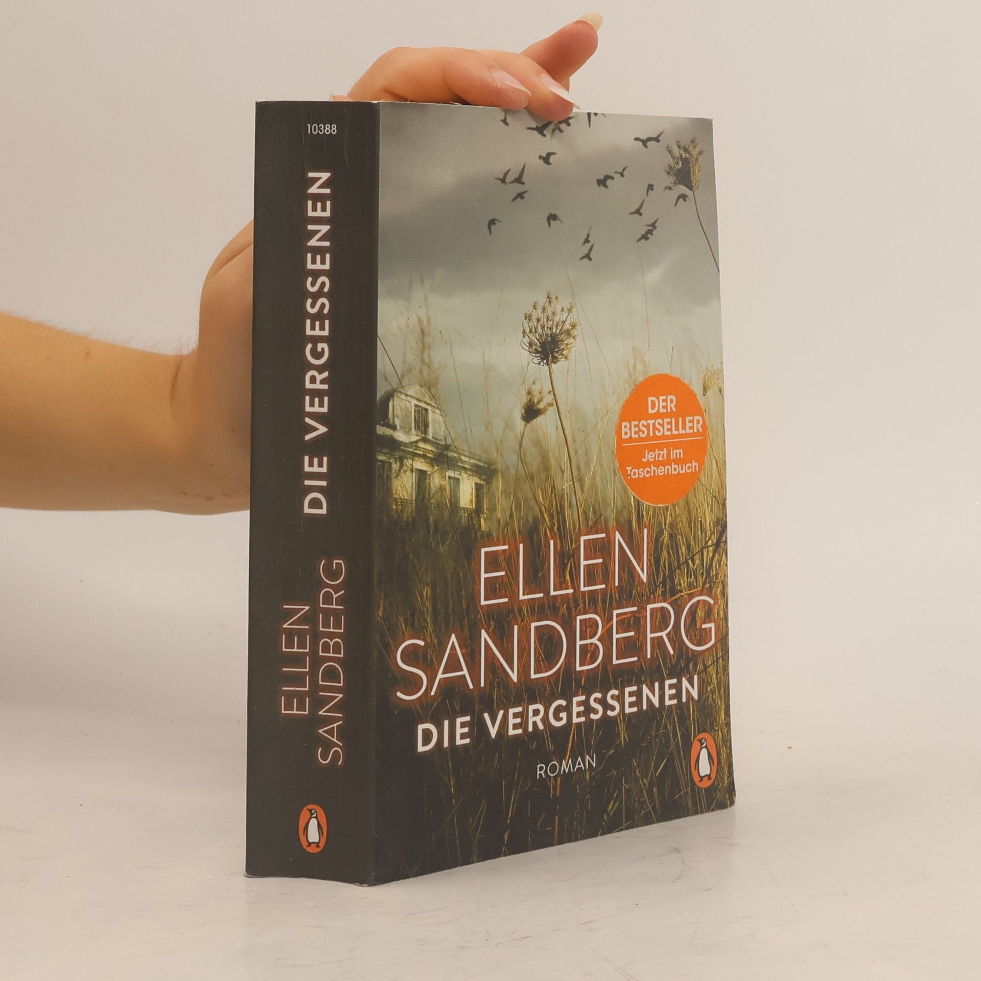 Ellen Sandberg Die Vergessenen