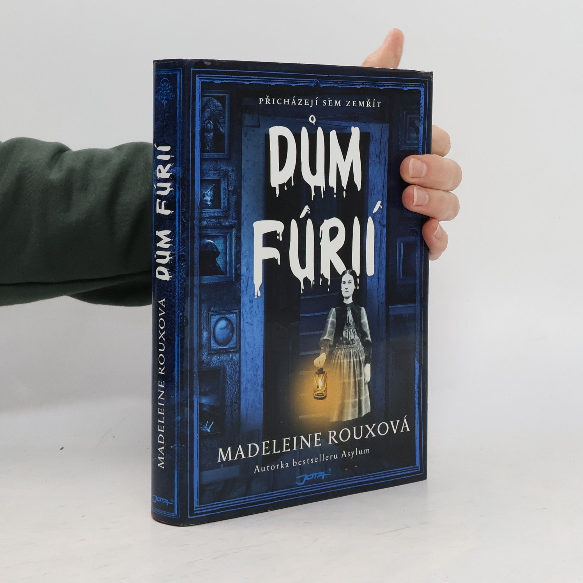 Madeleine Roux Dům fúrií