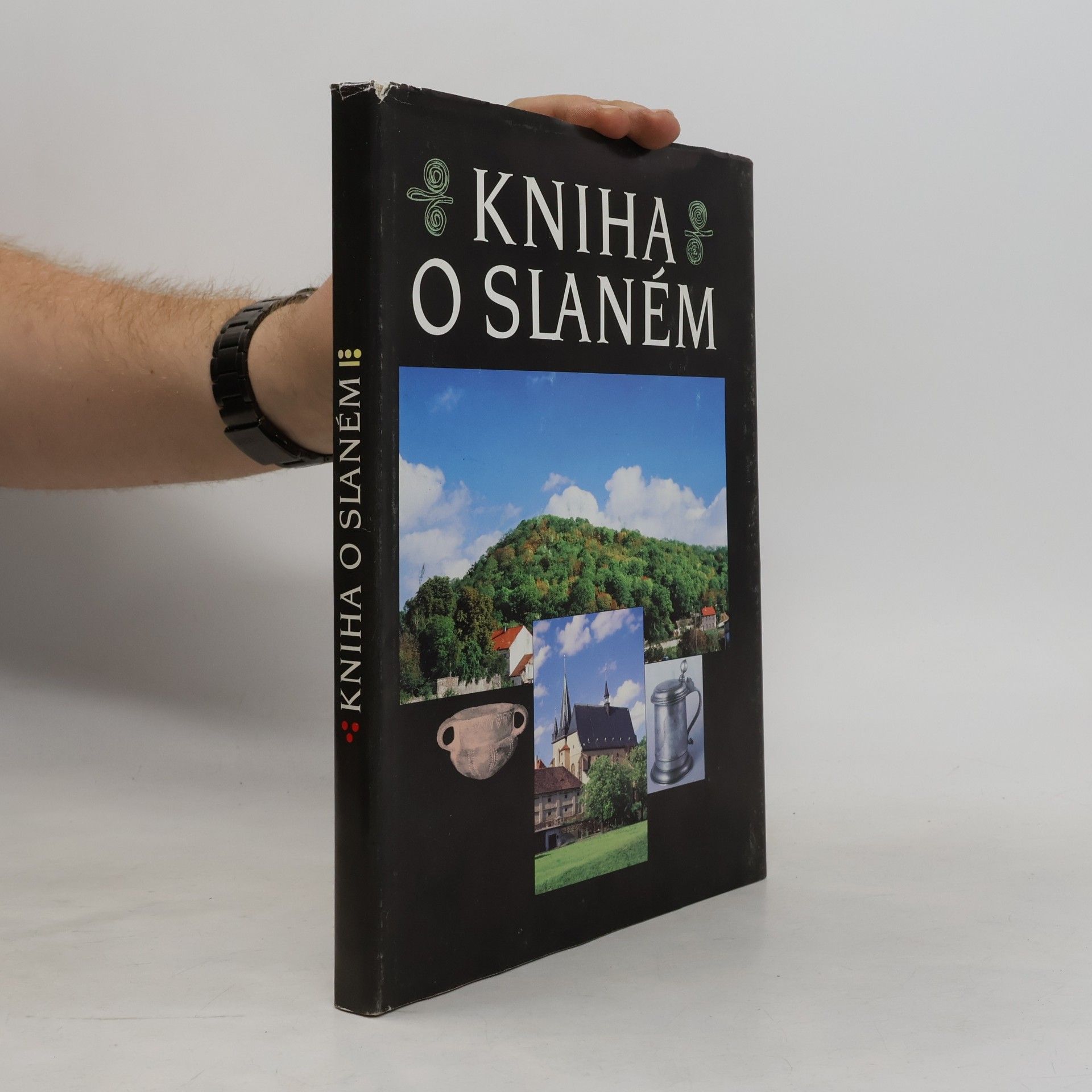 Kniha o Slaném