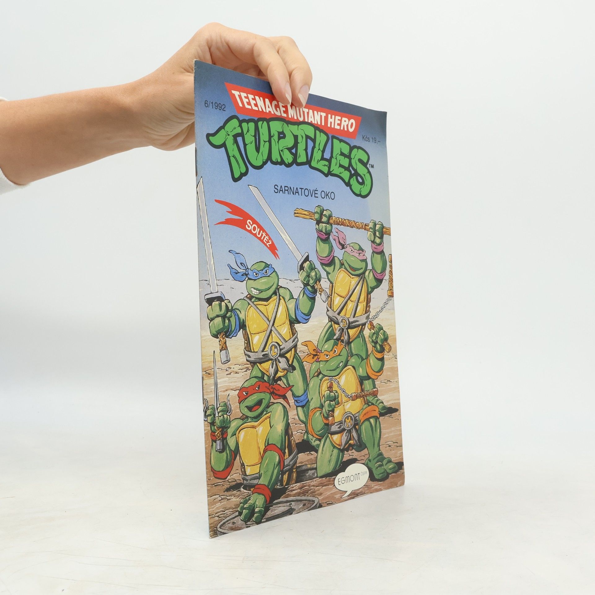 Beth Mitchroney Teenage Mutant Hero Turtles #06