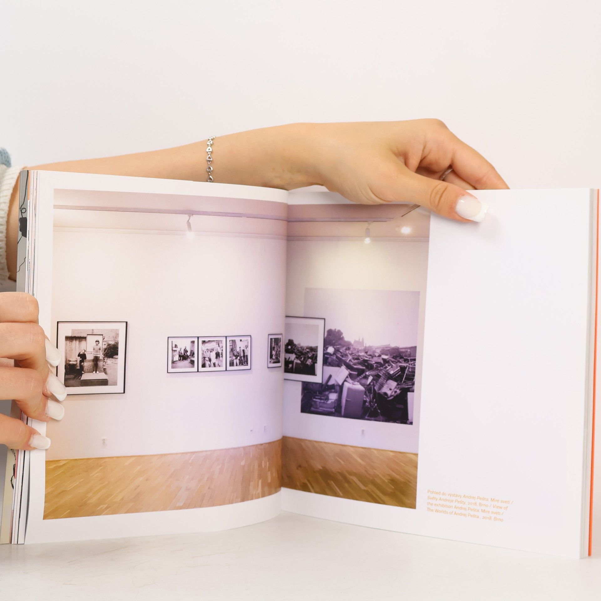 kolektiv Výroční zpráva 2019; Annual report 2019