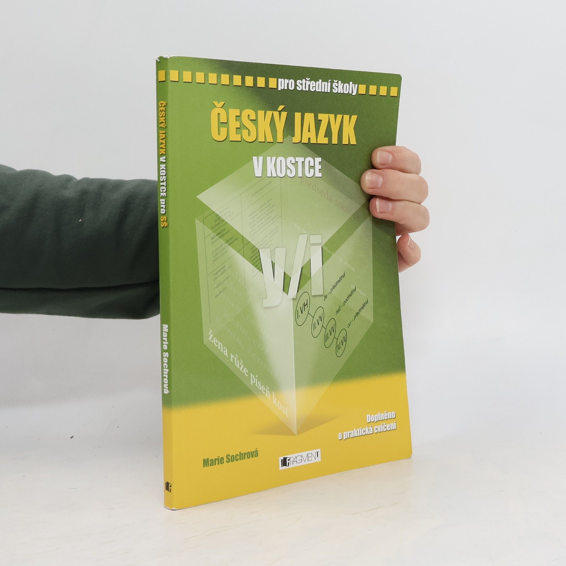 Marie Sochrová Český jazyk v kostce : pro střední školy
