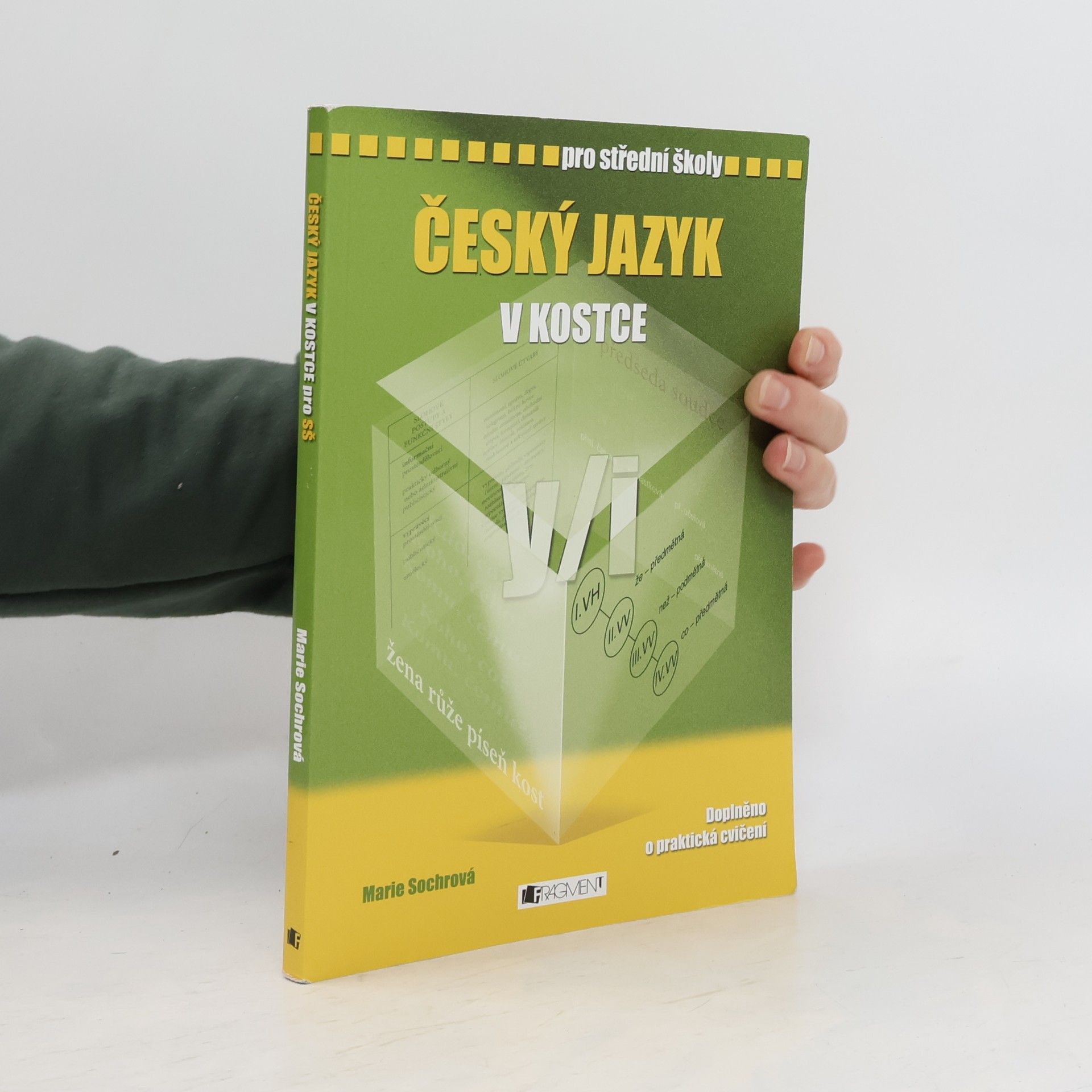 Marie Sochrová Český jazyk v kostce : pro střední školy