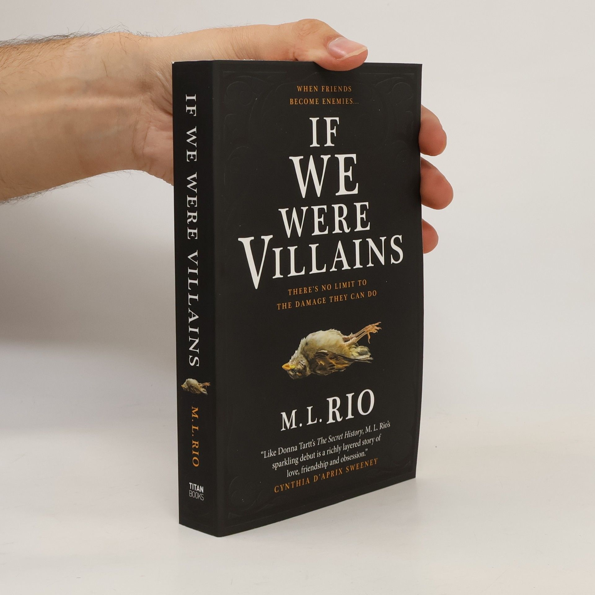 M. L. Rio If We Were Villains