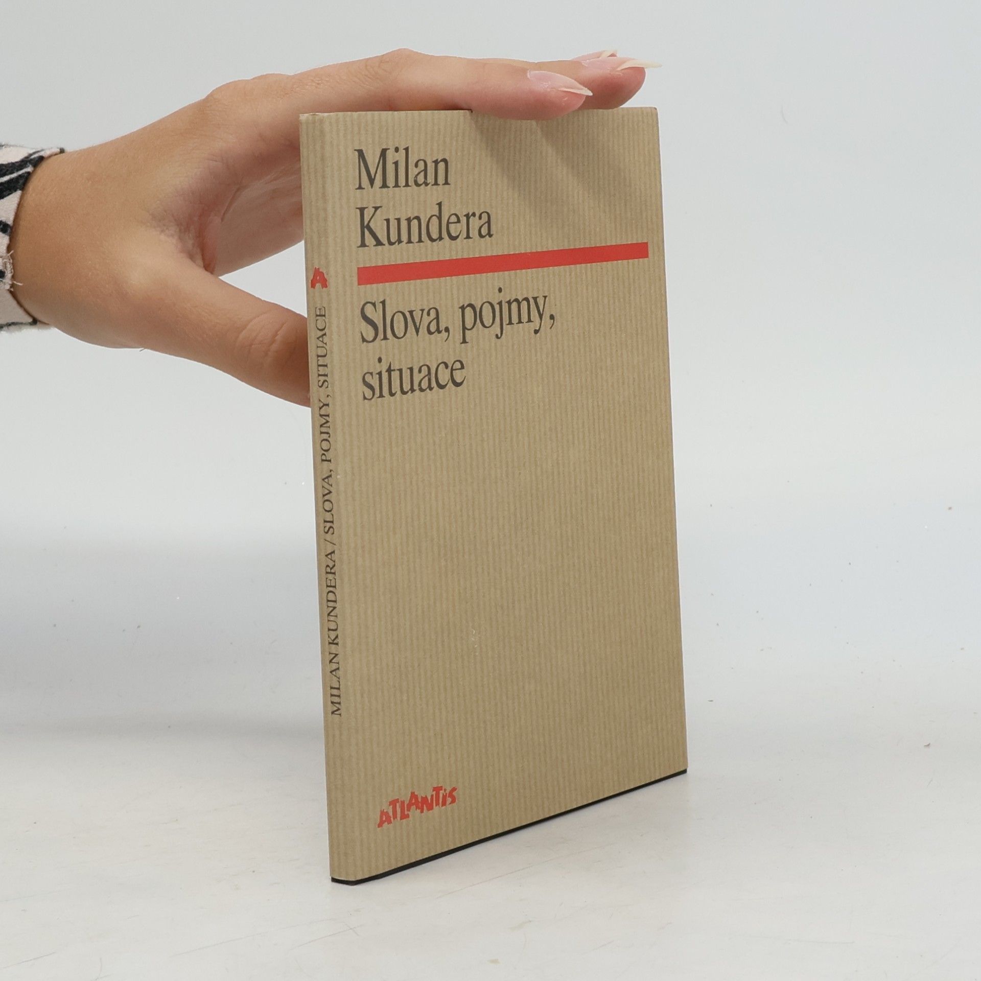 Milan Kundera Slova, pojmy, situace