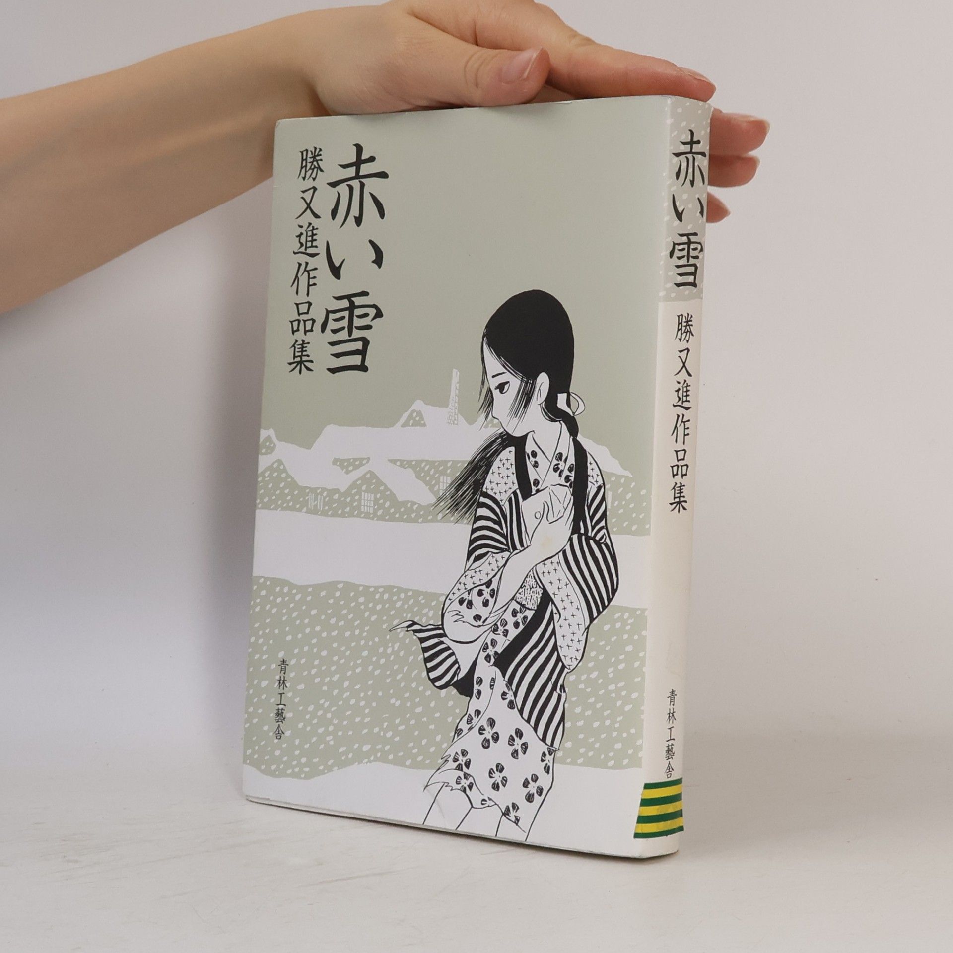 Susumu Katumata Red snow - Susumu Katsumata Works (2005) ISBN