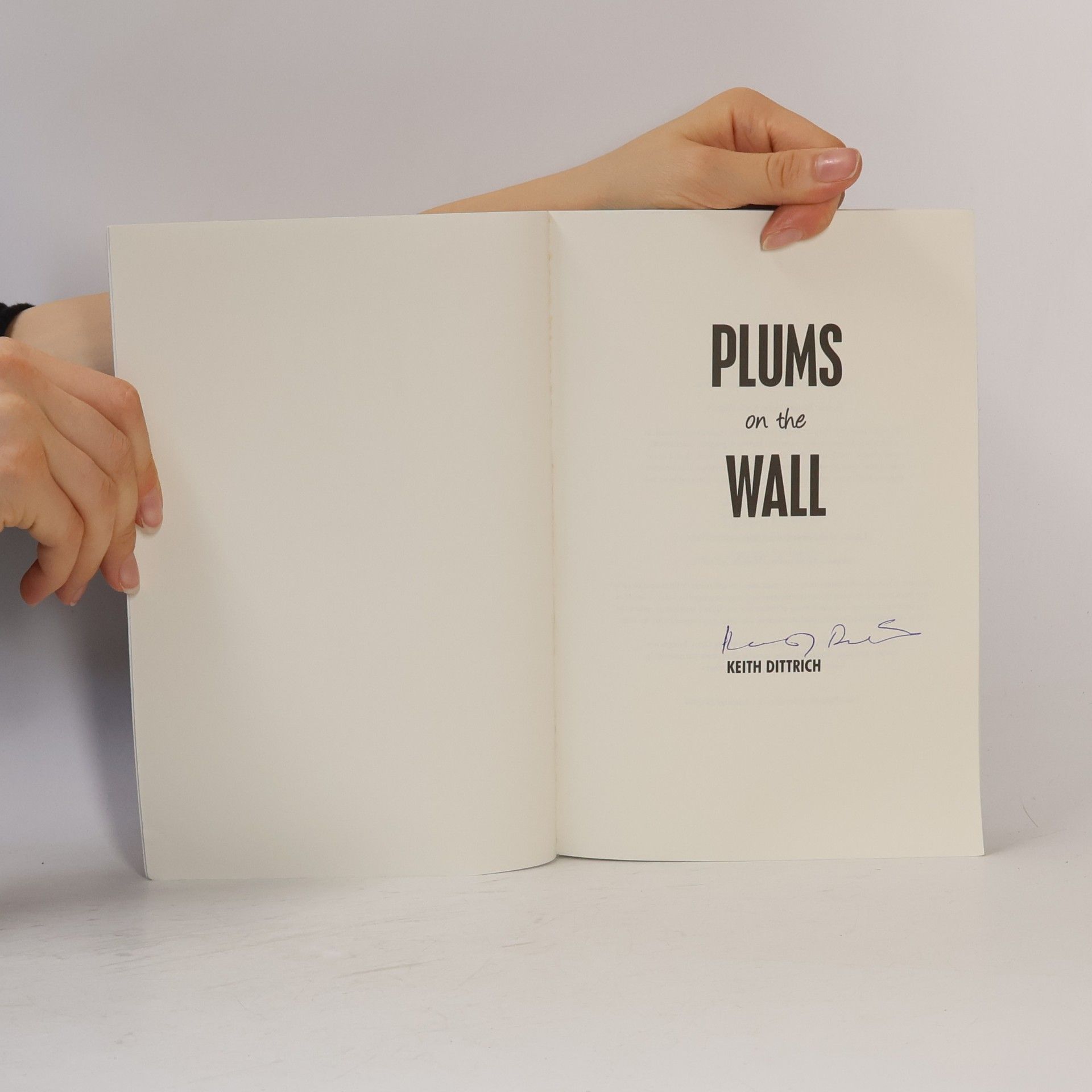 Keith Dittrich Plums on the Wall