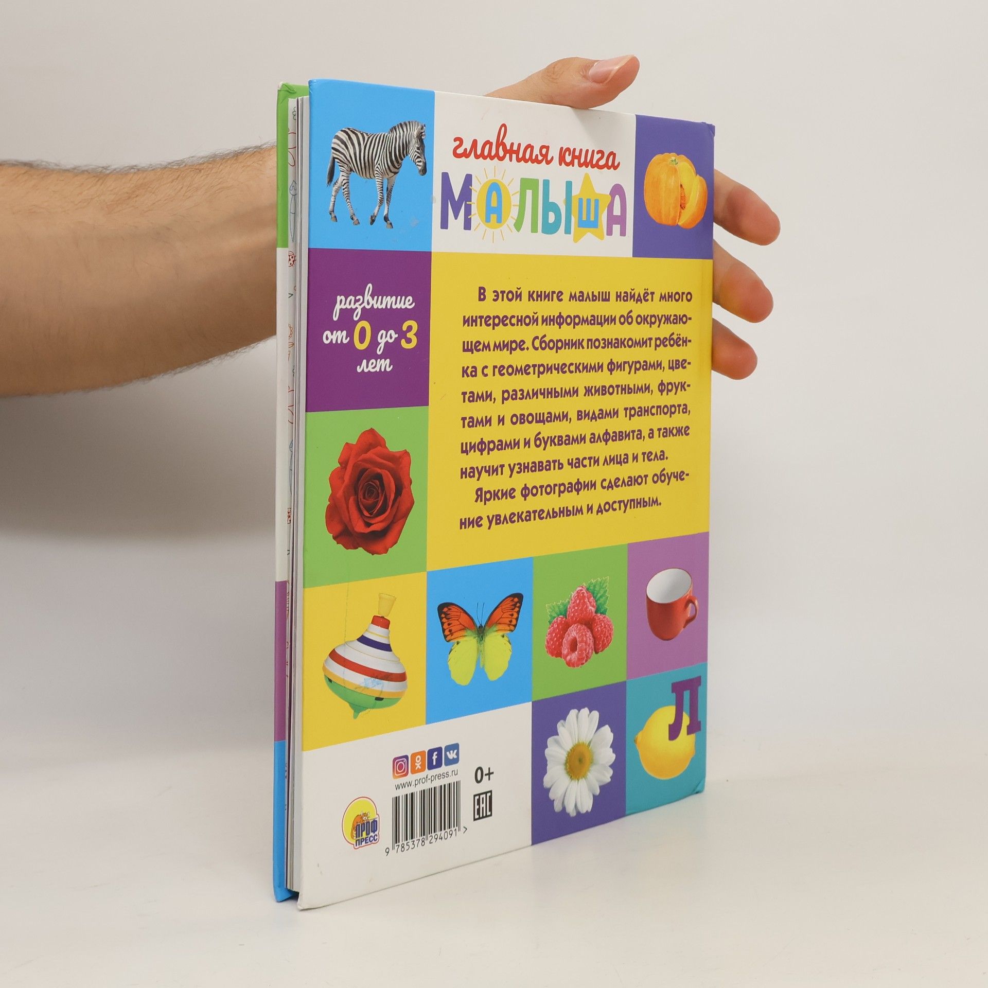 Главная книга малыша. Развитие от 0 до 3 лет
