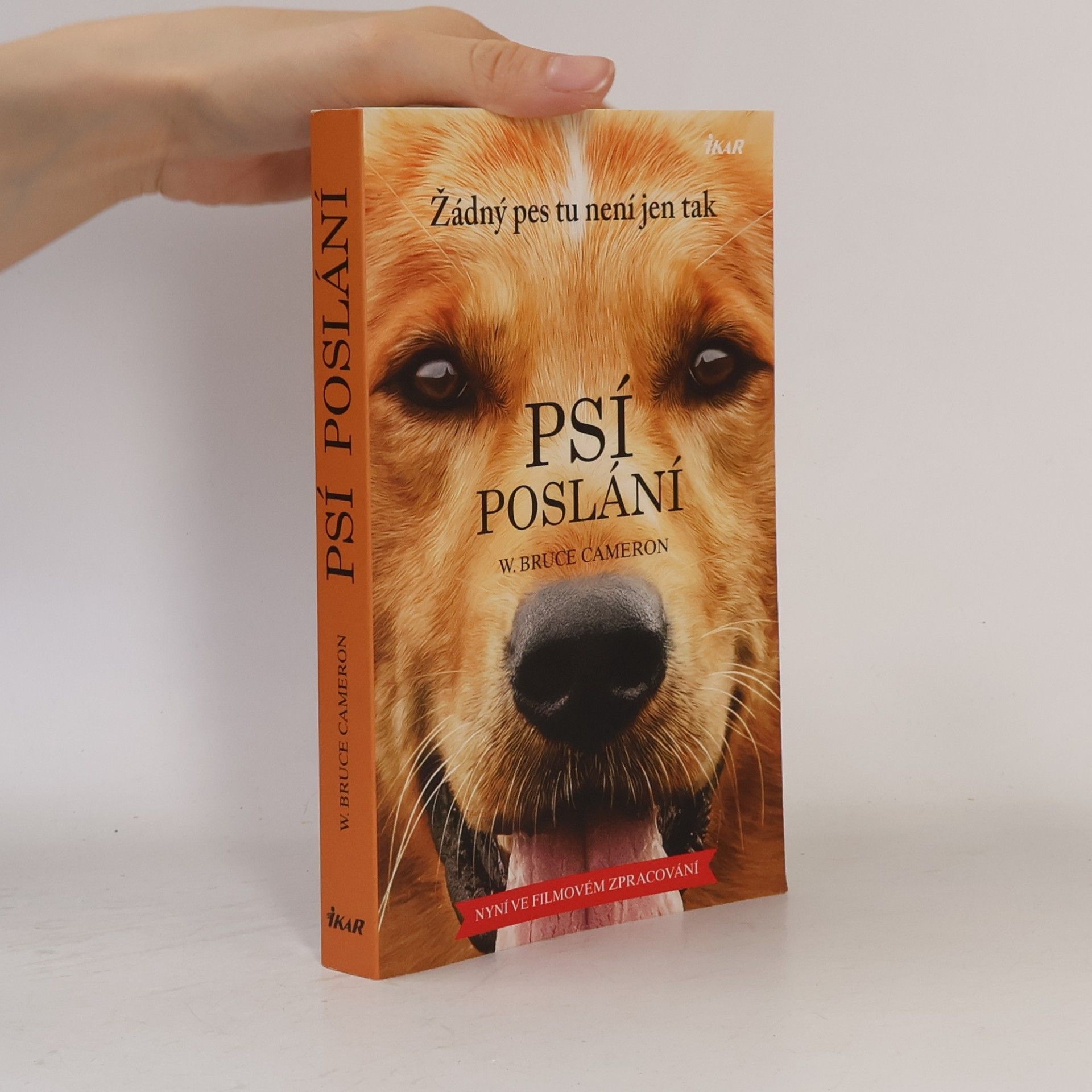 Psí poslání. Žádný pes tu není jen tak