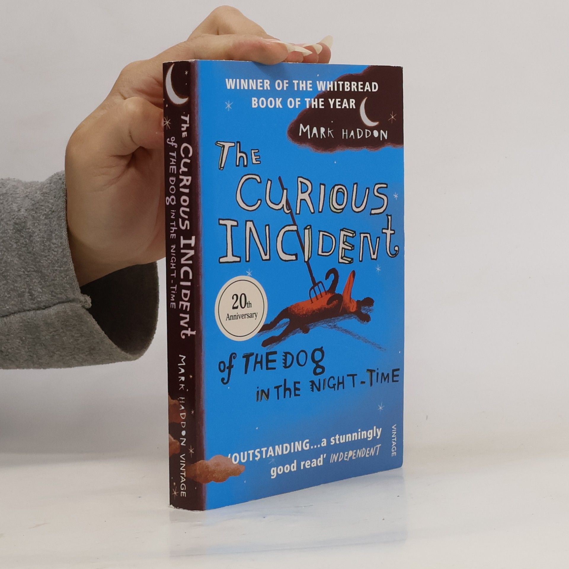 Mark Haddon The Curious Incident of The Dog in The Night-Time