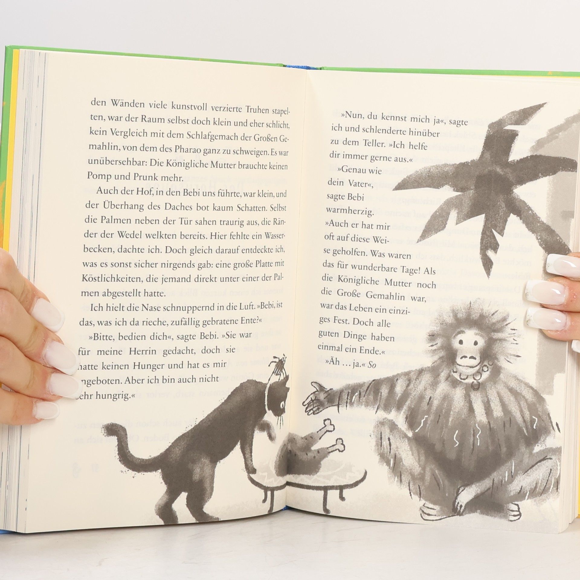 Amy Greenfield B. Ein Fall für Katzendetektiv Ra, Das verschwundene Amulett