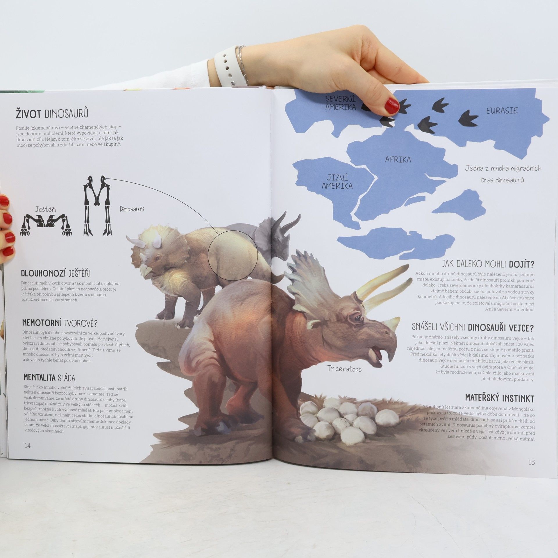kolektiv Věk dinosaurů