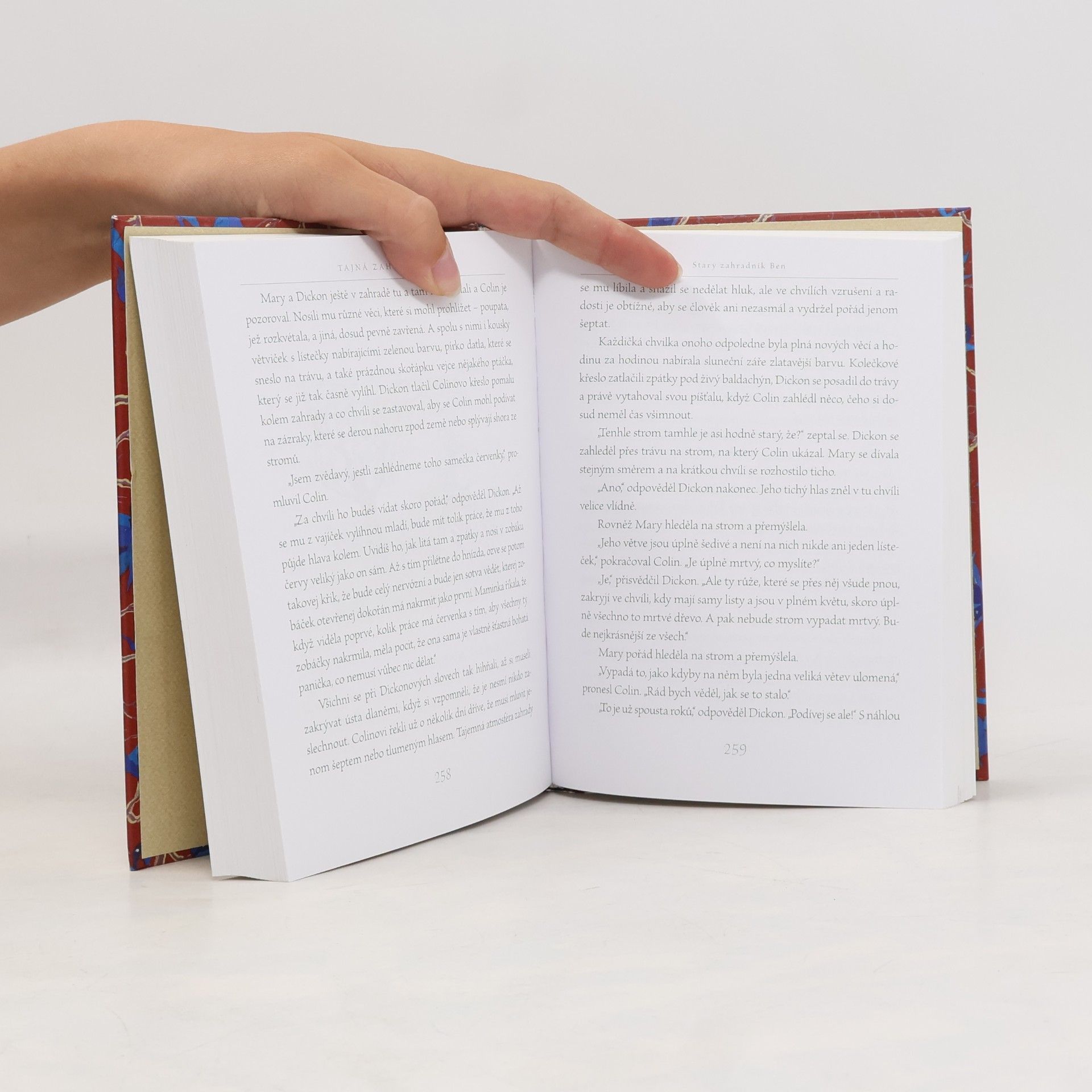 Frances Hodgson Burnett Tajná zahrada