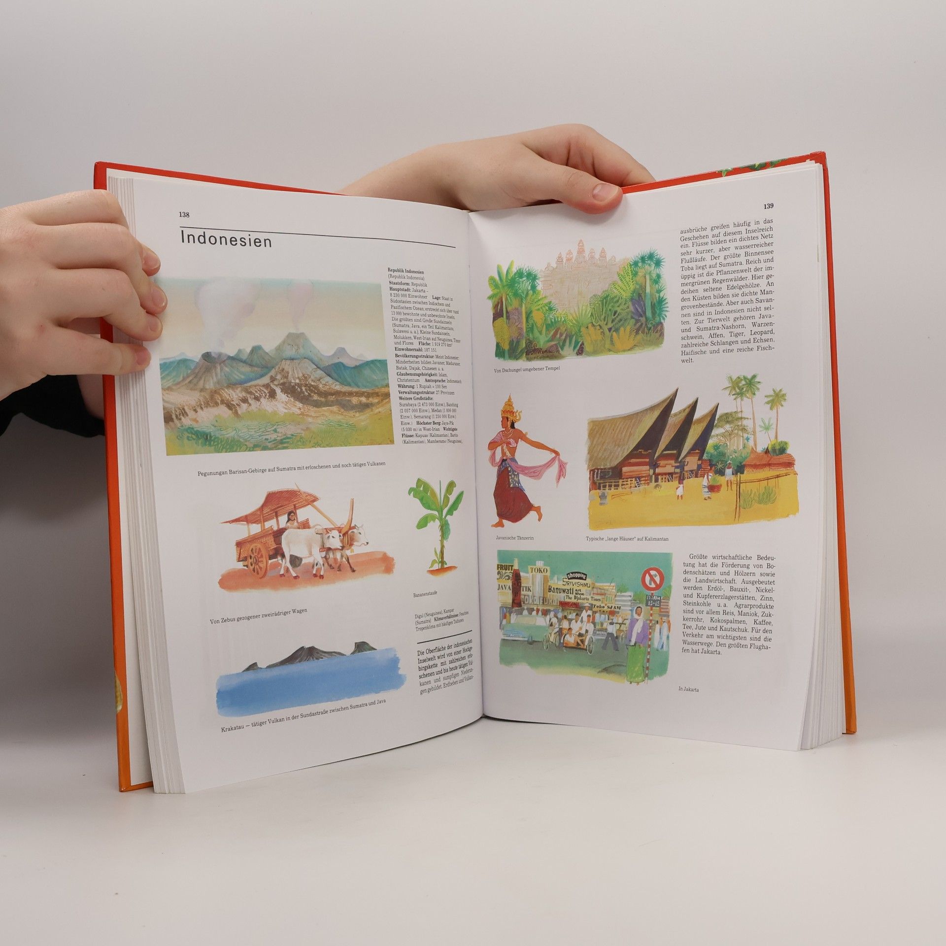 kolektiv Dergroße illustrierte Kinderatlas