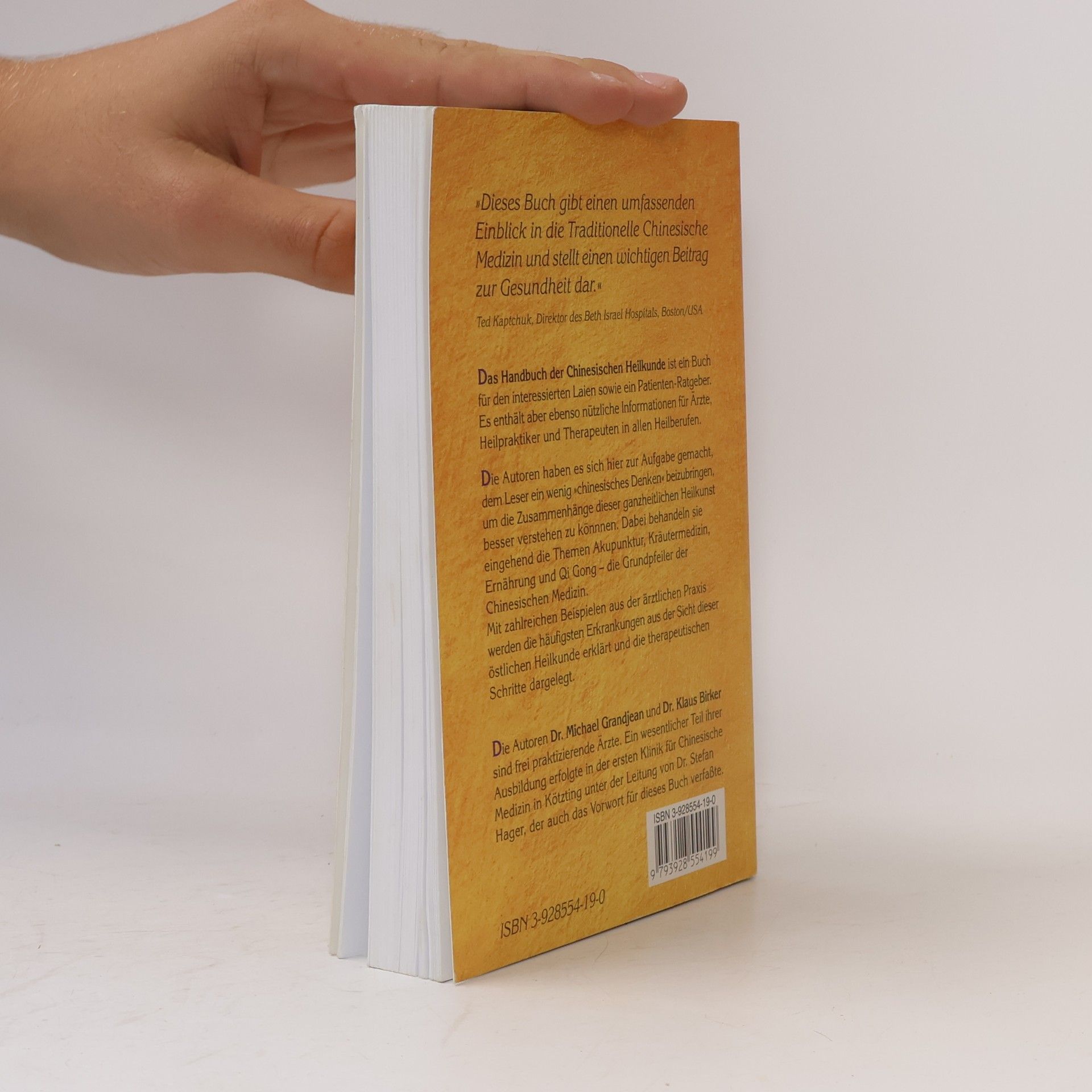 Michael Grandjean Das Handbuch der Chinesischen Heilkunde