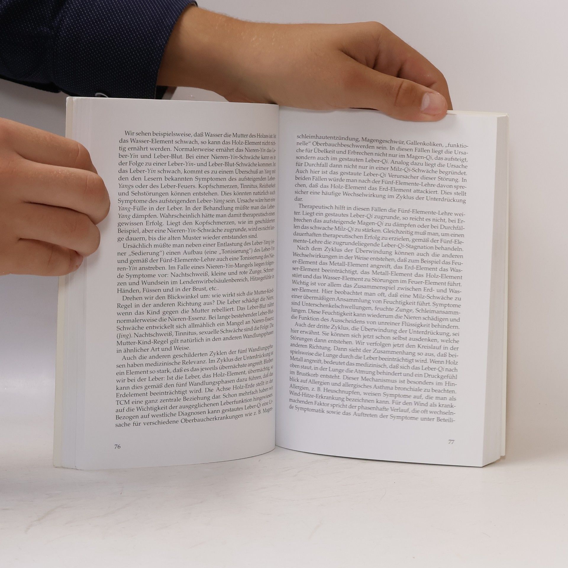 Michael Grandjean Das Handbuch der Chinesischen Heilkunde