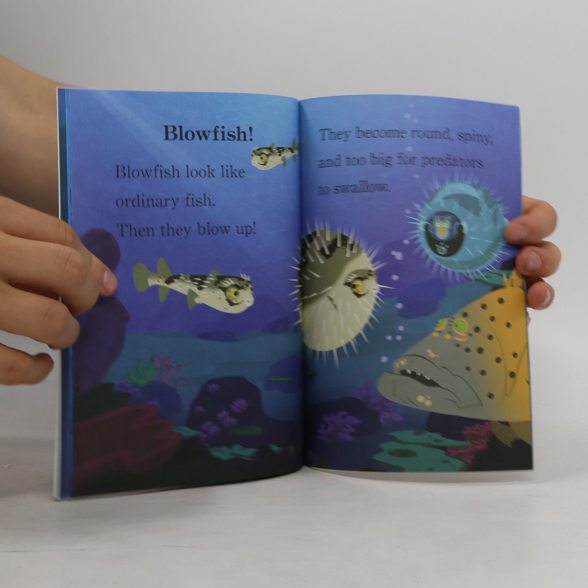 Chris Kratt Wild Kratts - 2: Wild Sea Creatures