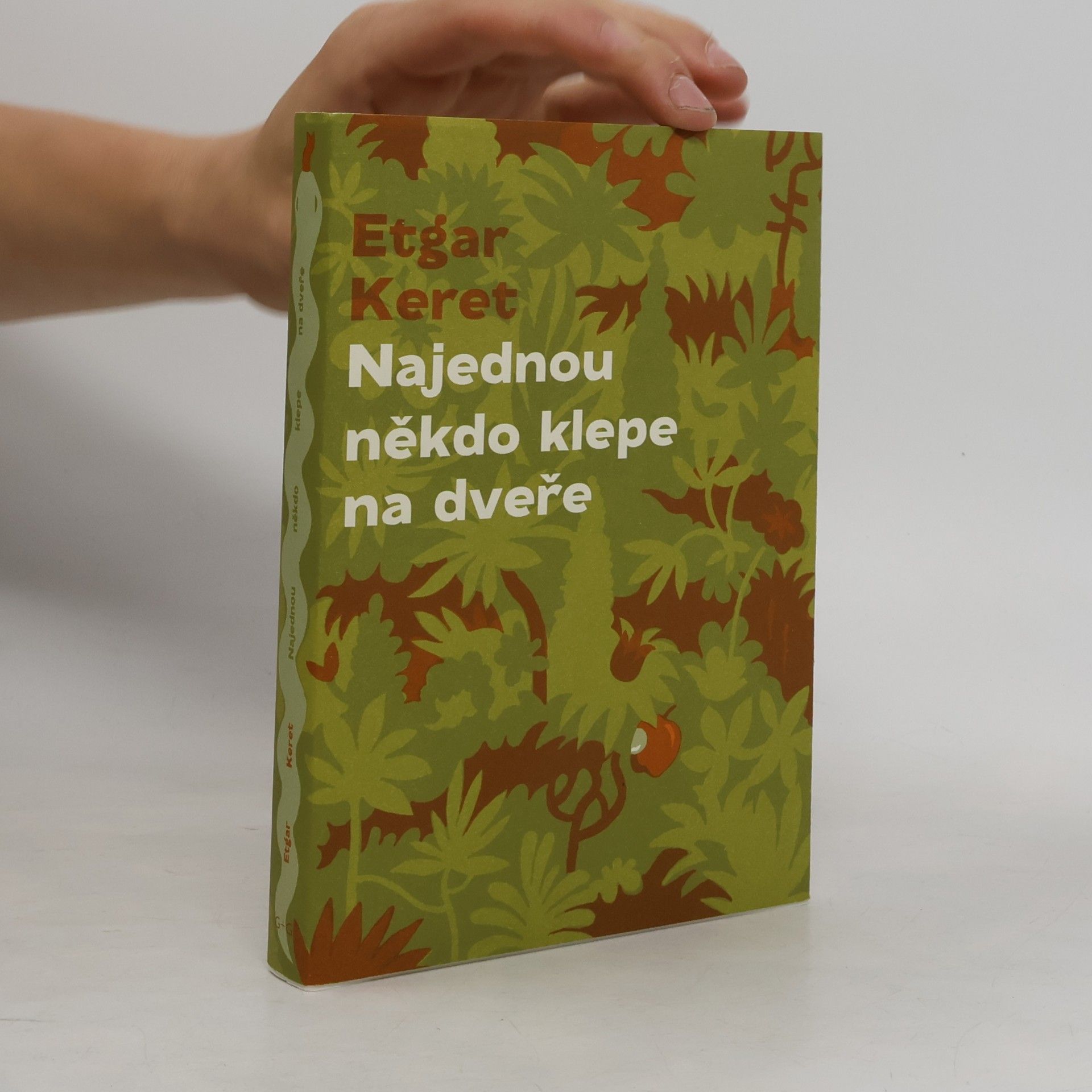 Etgar Keret Najednou někdo klepe na dveře