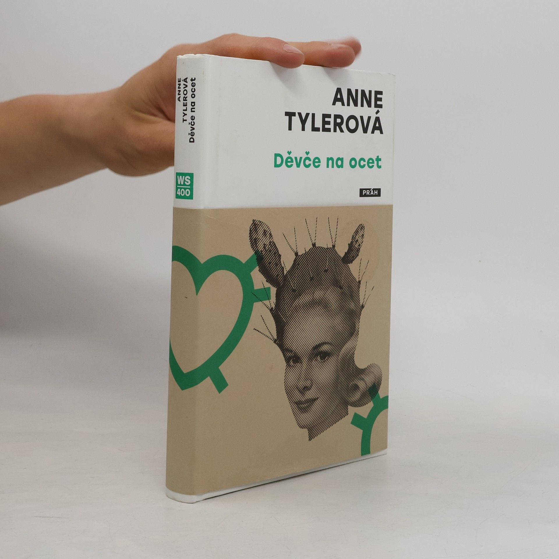 Anne Tyler Děvče na ocet