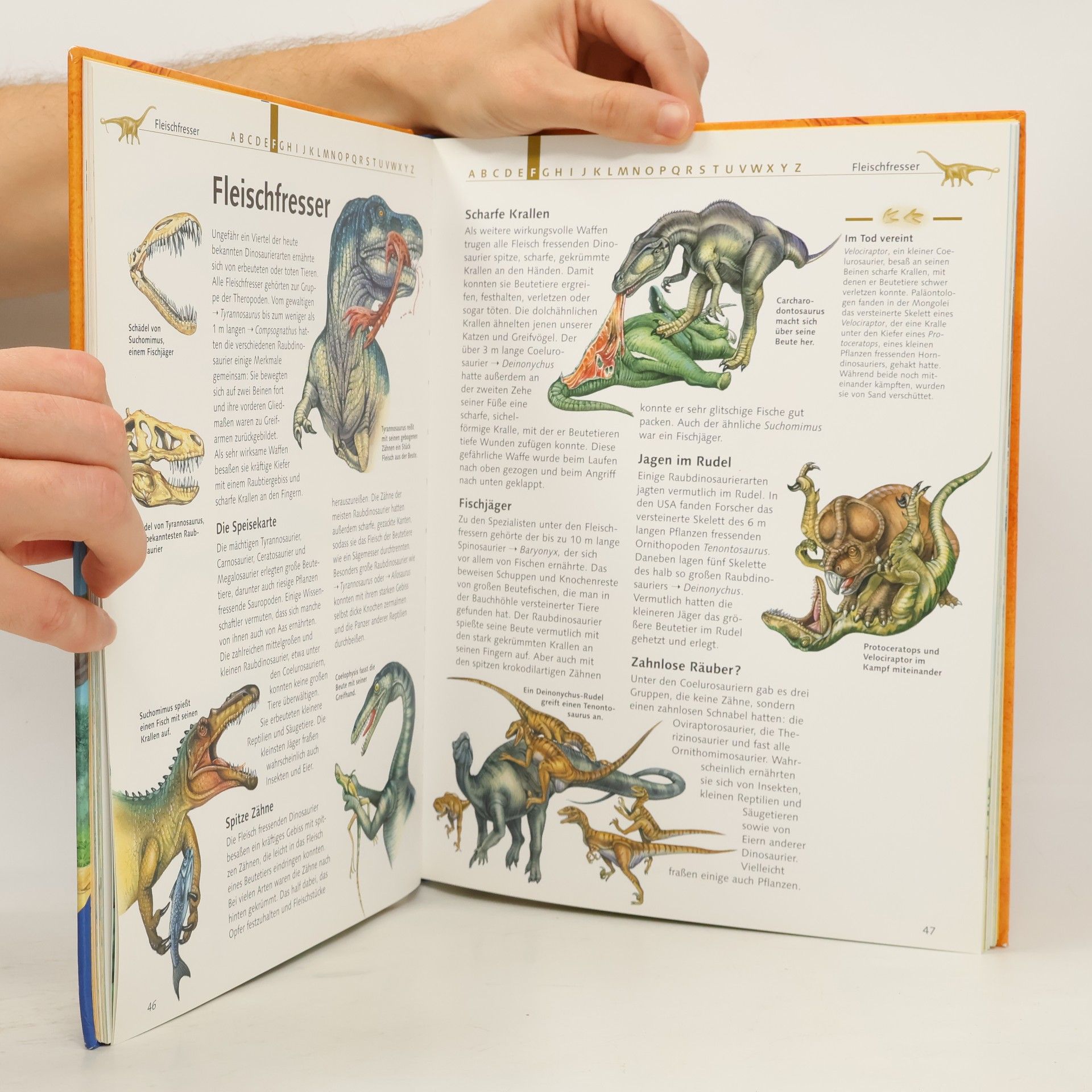 Hans Peter Thiel Dinosaurier von A-Z
