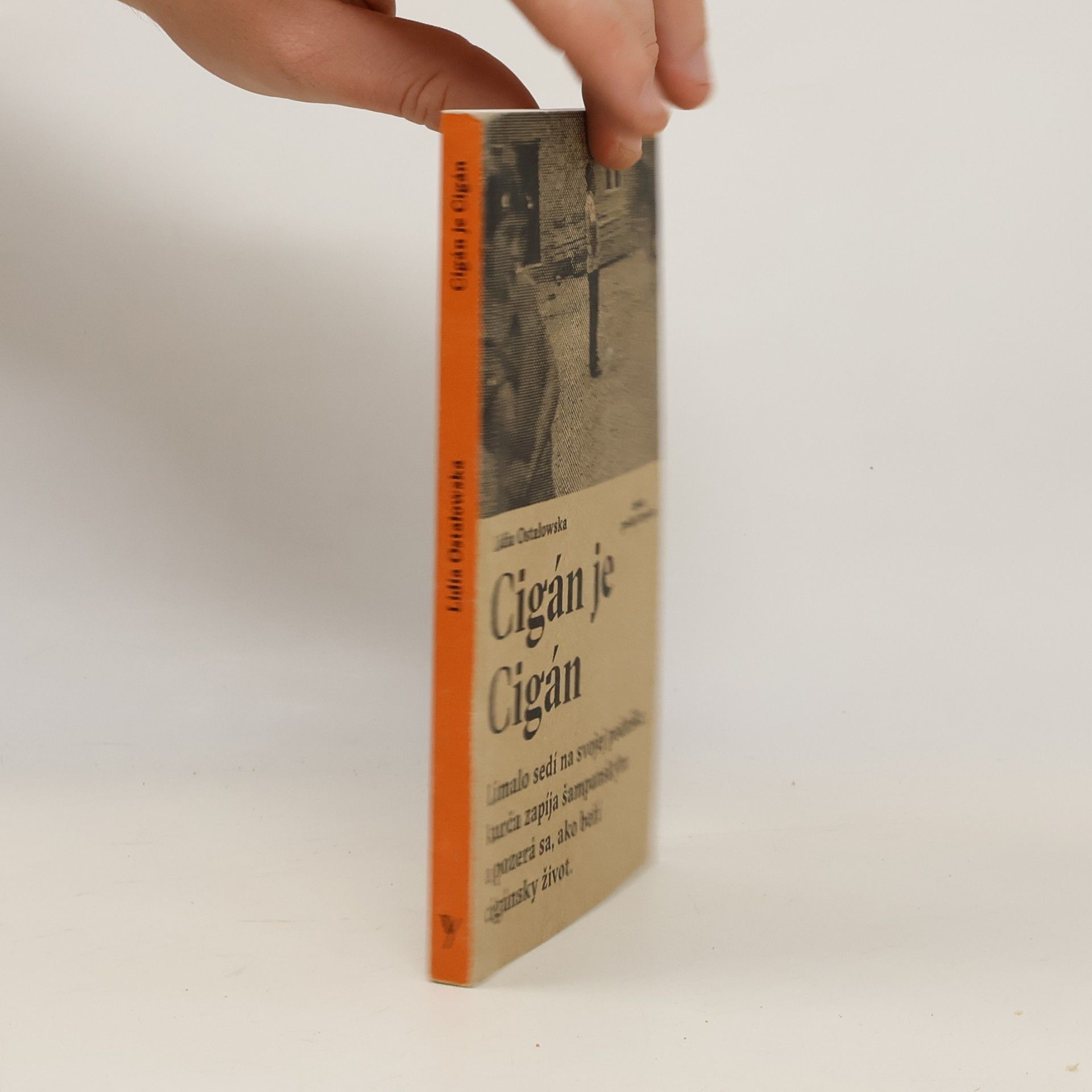 Lidia Ostałowska Cigán je Cigán