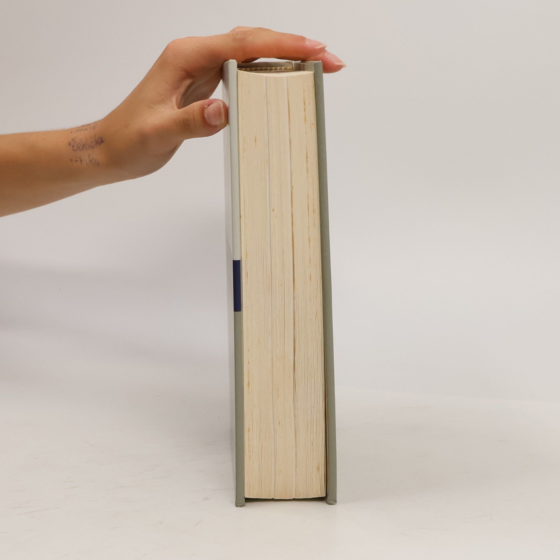 Various authors Storia Universale 11. Il rinascimento