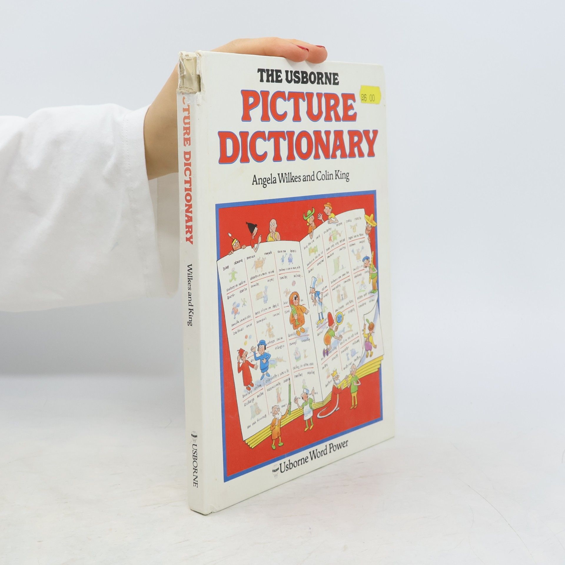 Usborne Word Power: The Usborne Picture Dictionary