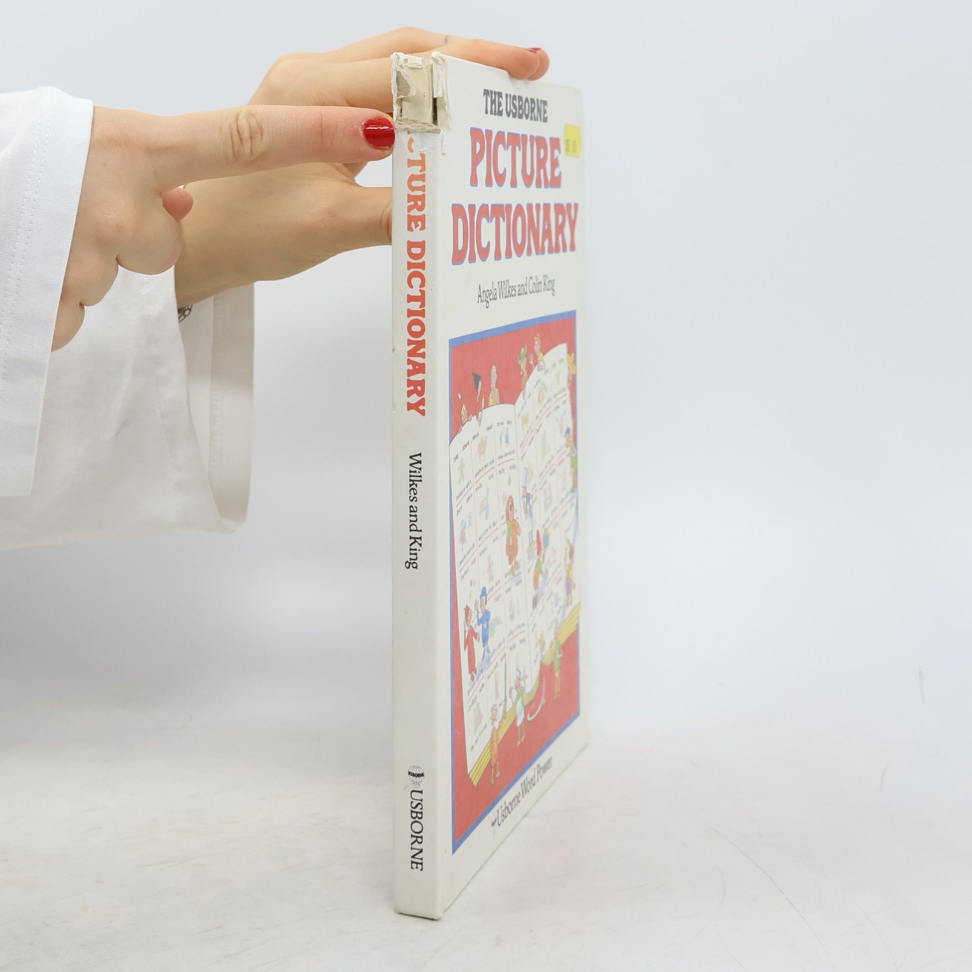 Angela Wilkes Usborne Word Power: The Usborne Picture Dictionary