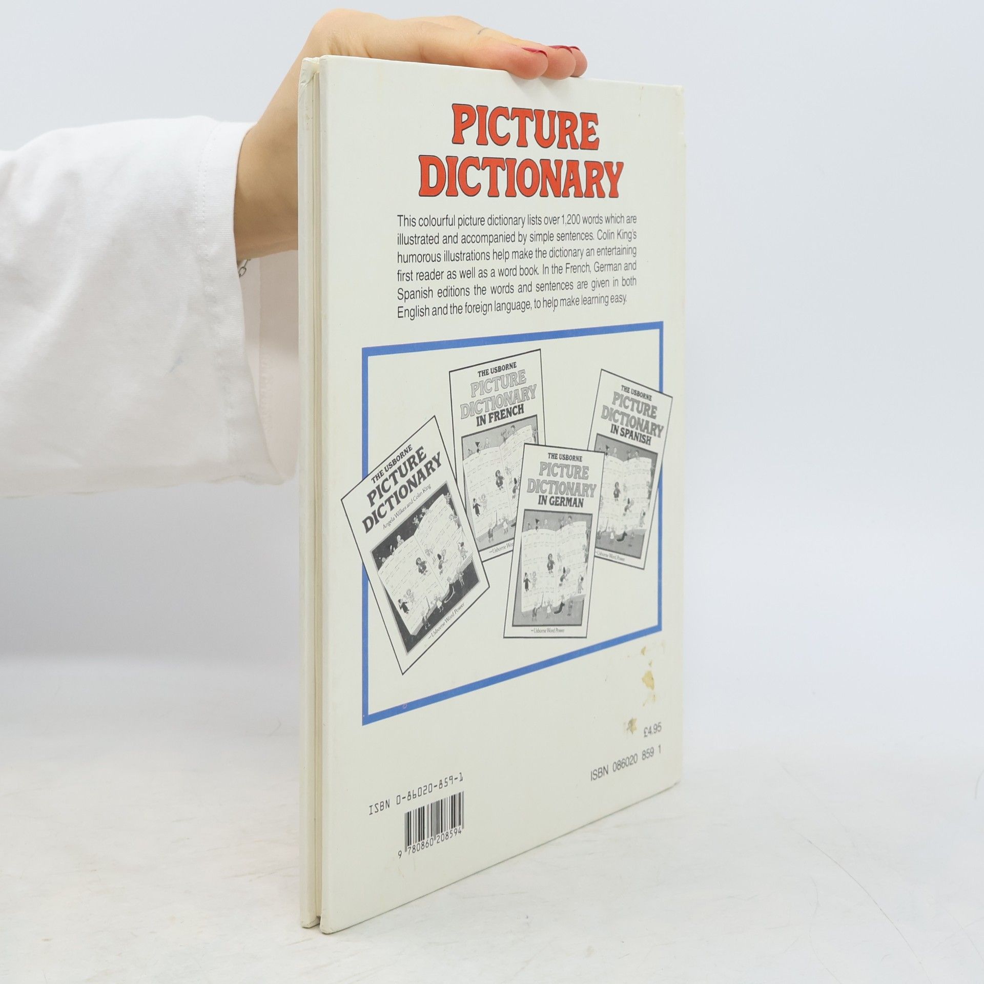 Angela Wilkes Usborne Word Power: The Usborne Picture Dictionary