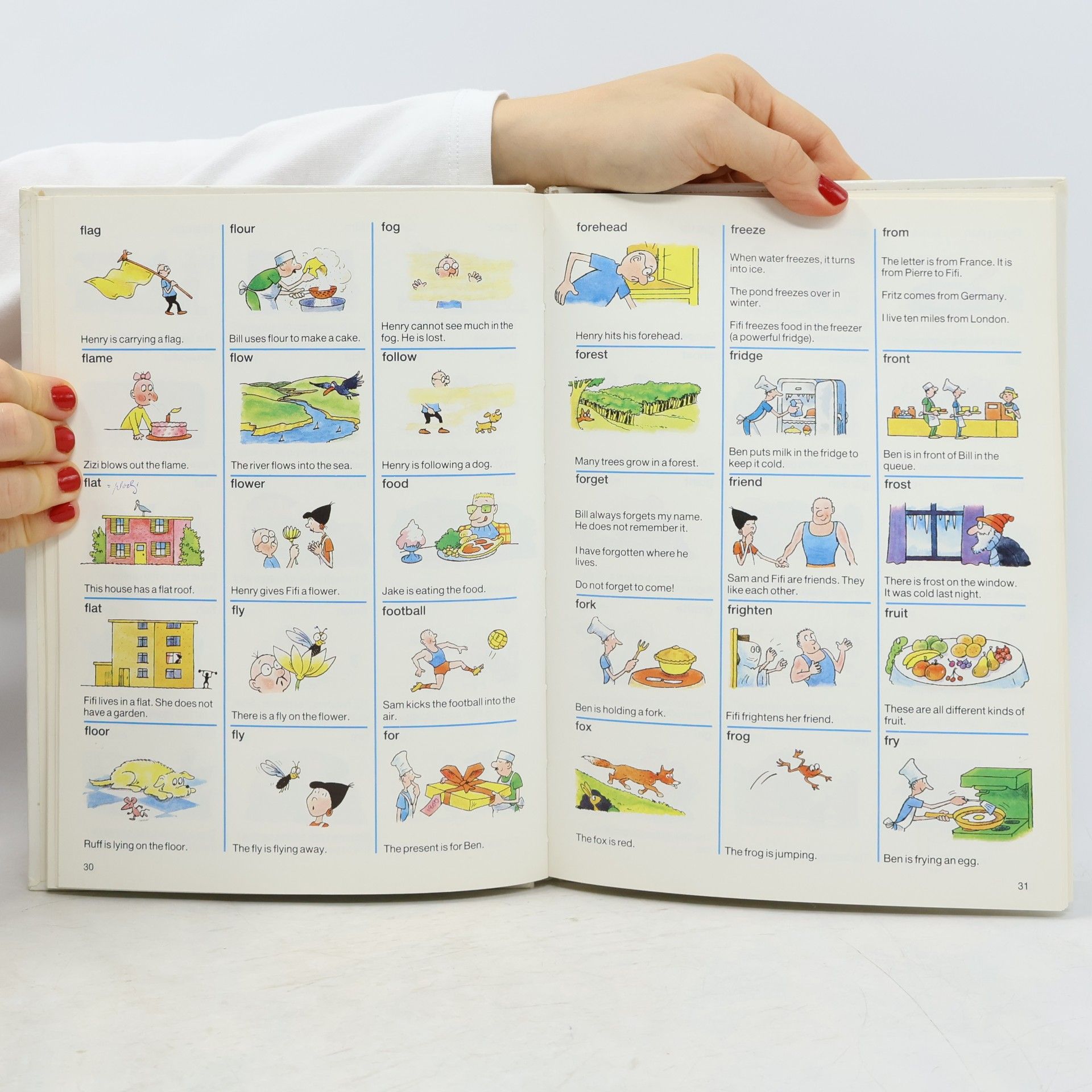 Angela Wilkes Usborne Word Power: The Usborne Picture Dictionary