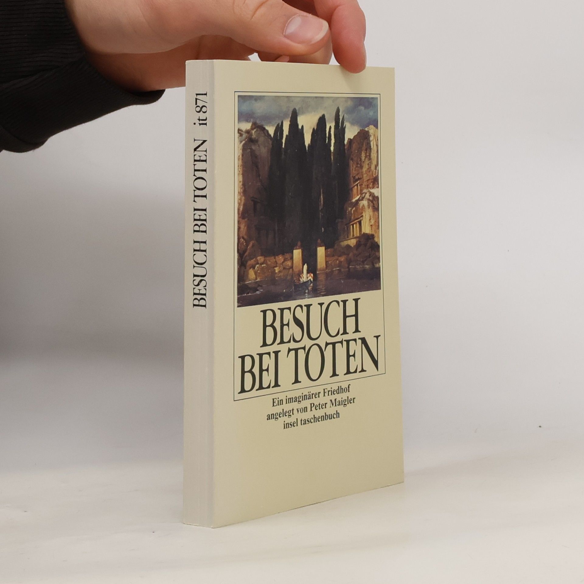 Peter Maigler Besuch bei Toten. Ein imaginärer Friedhof