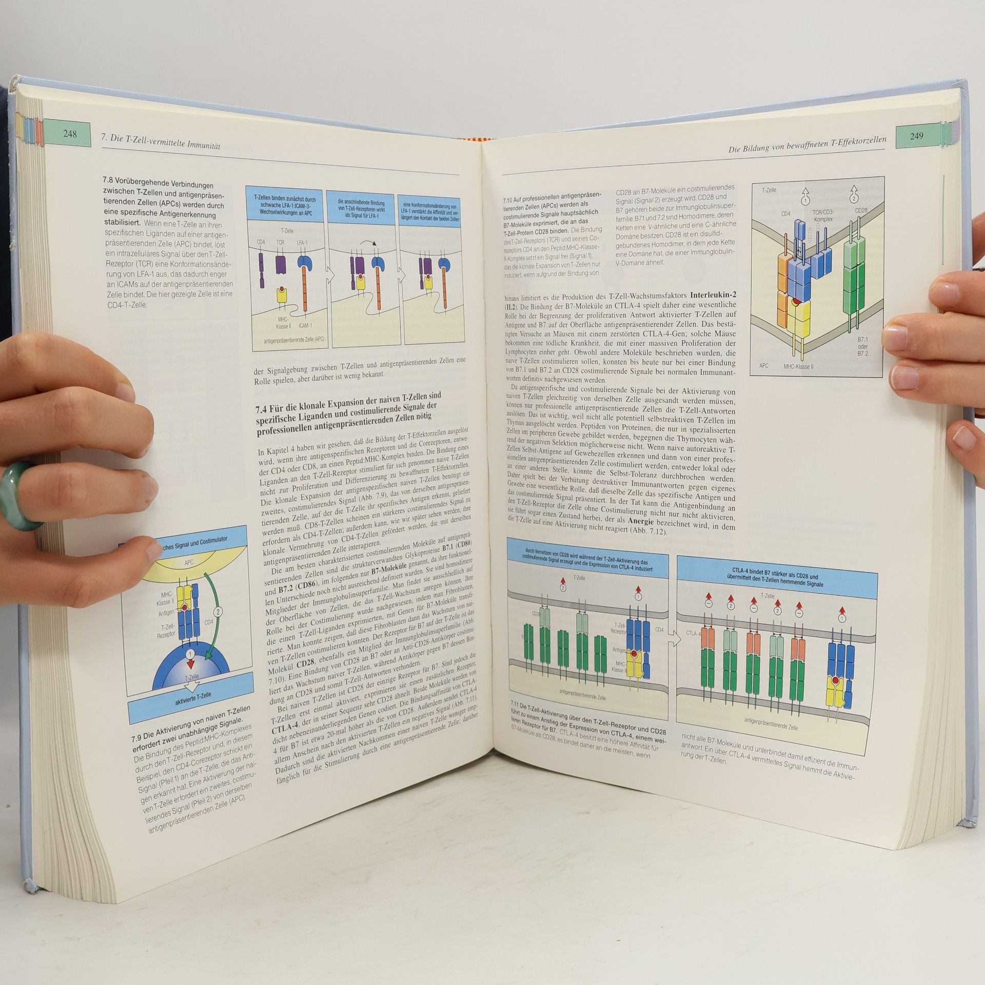 Charles Janeway Immunologie - 2. Auflage