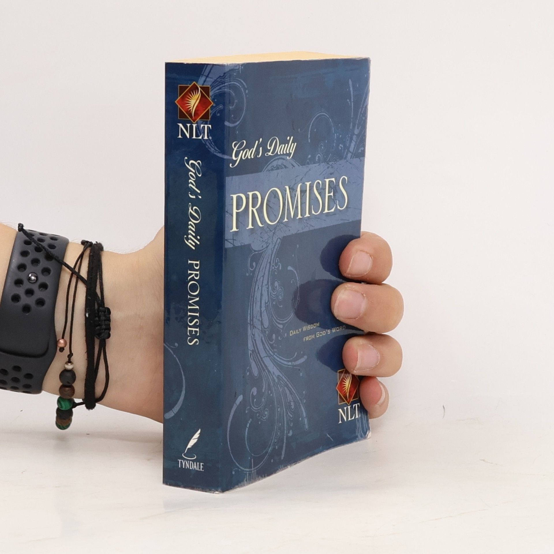 Michal Needham God's Daily Promises