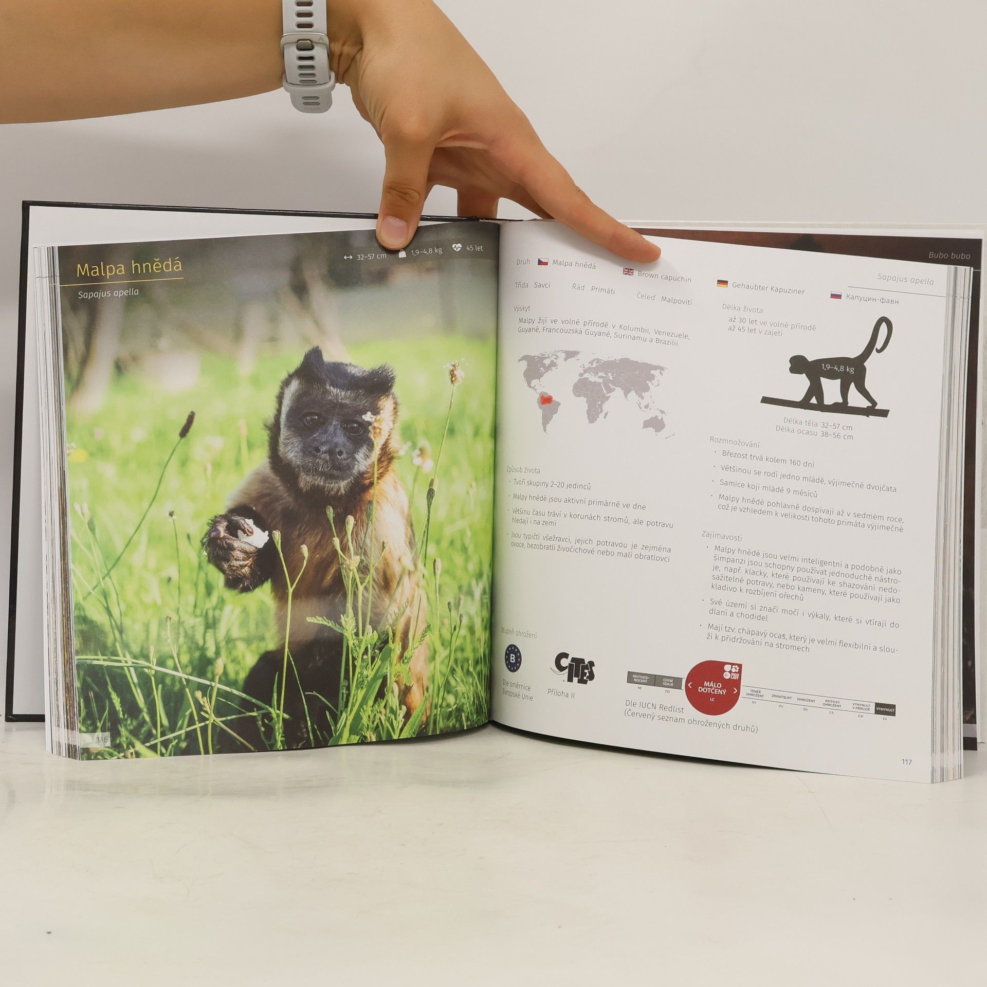 Evžen Korec Jak chráníme ohrožené druhy: od záchrany Zoo Tábor k pomoci zvířatům v nouzi