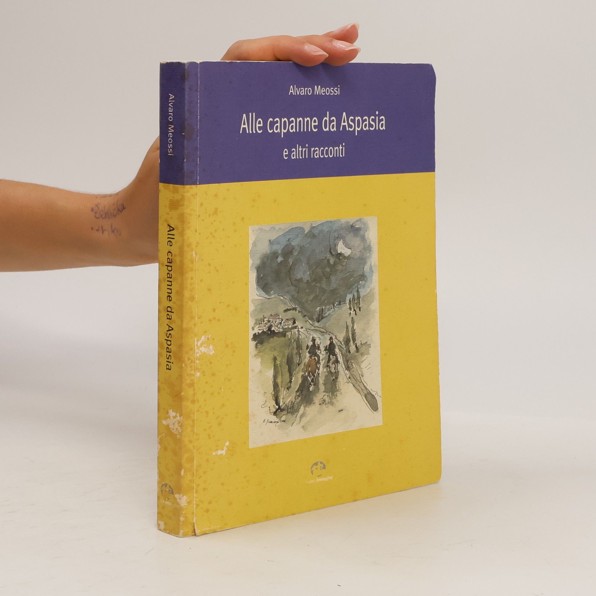Alvaro Meossi Alle capanne da Aspasia e altri racconti