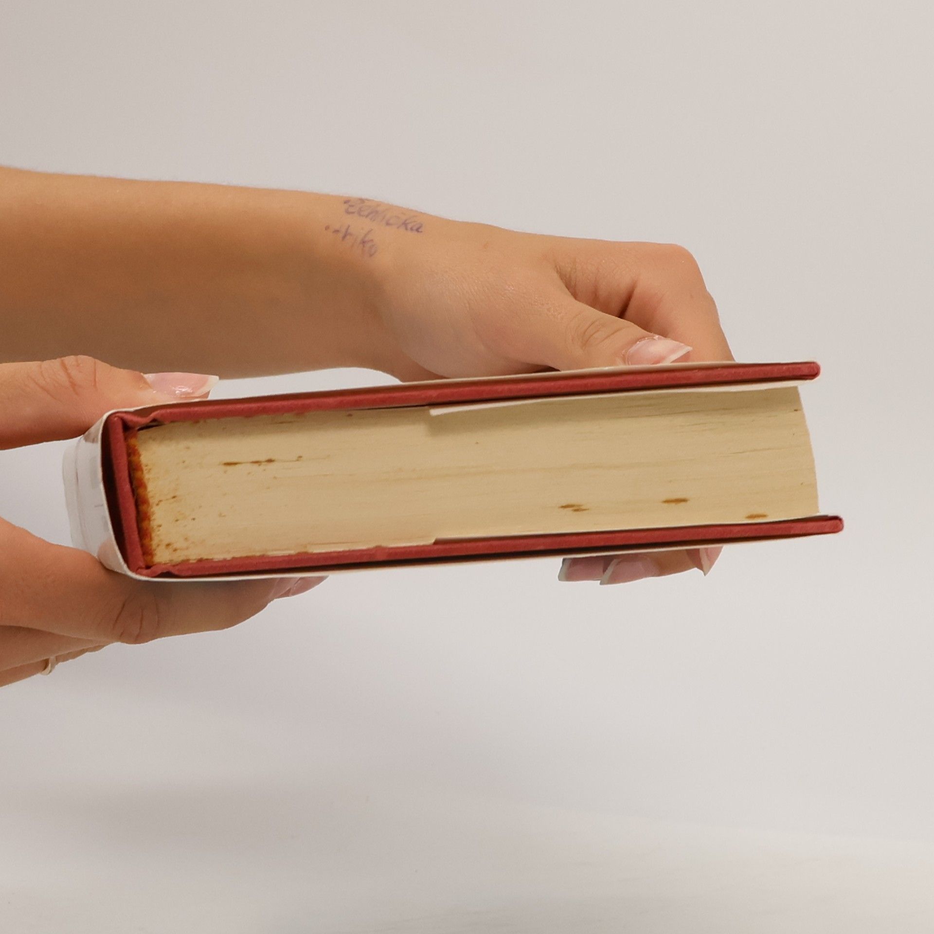 Danielle Steel Pandora: Il caleidoscopio