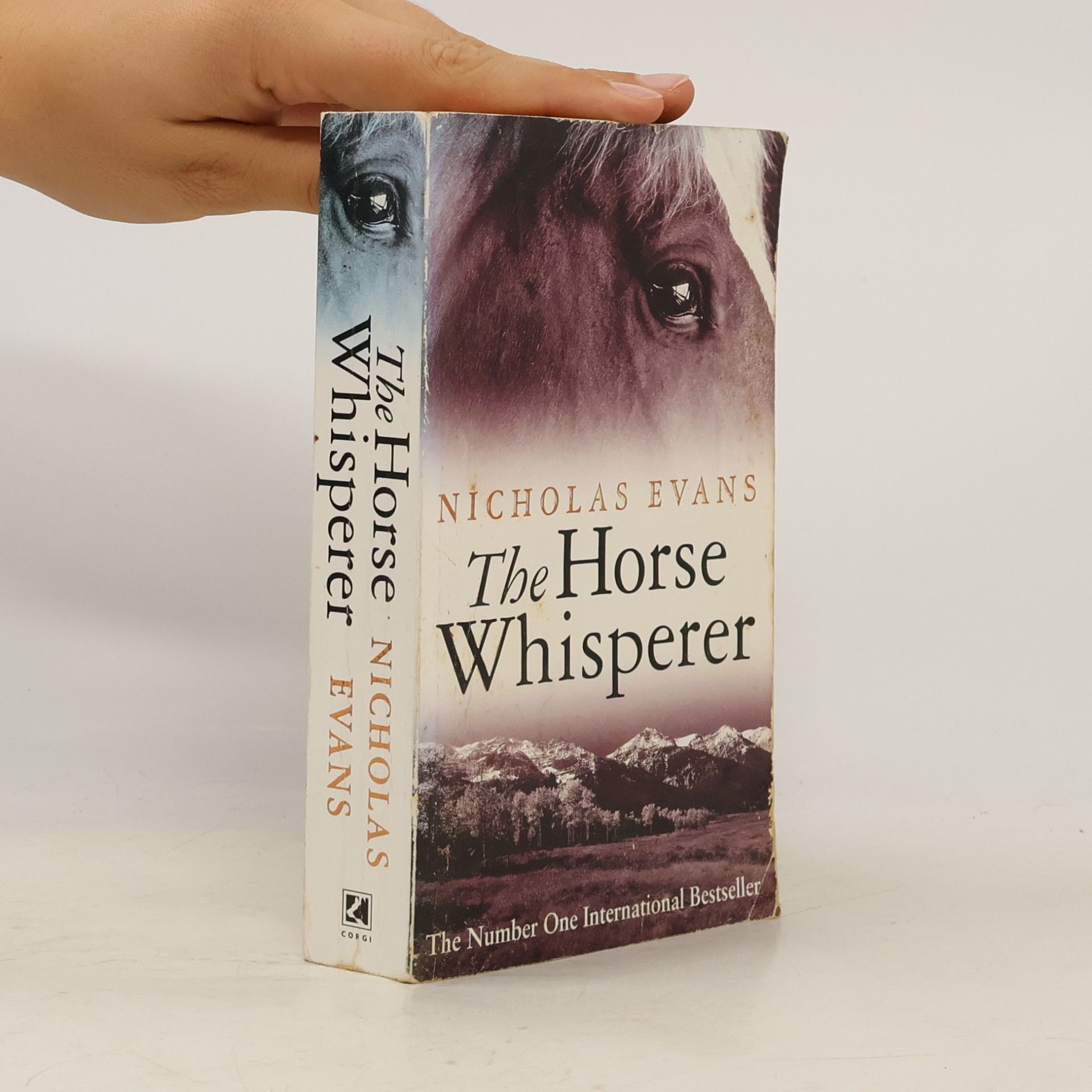 Nicholas Evans The horse whisperer