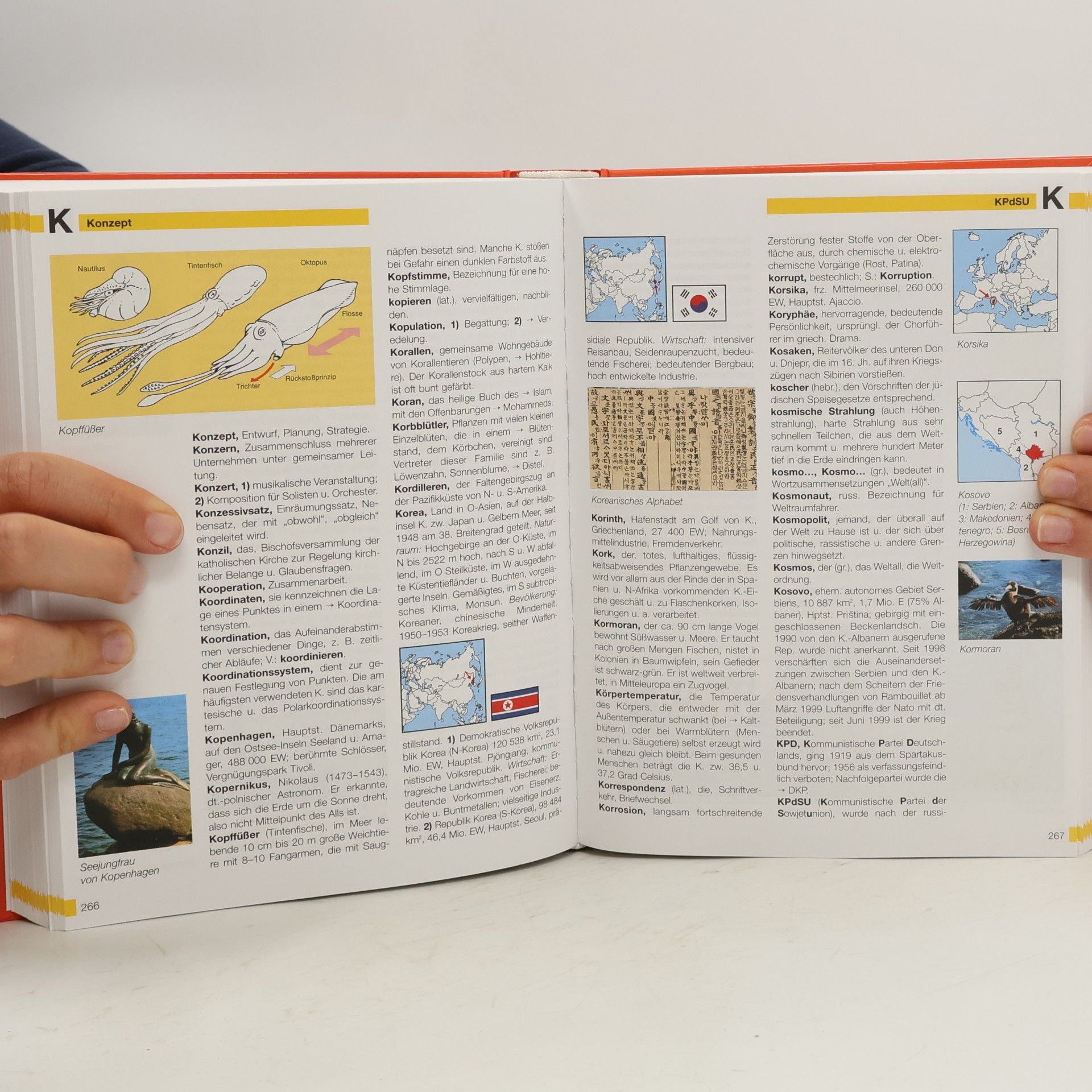 Autorenkollektiv Grosses Farbiges. Schülerlexikon