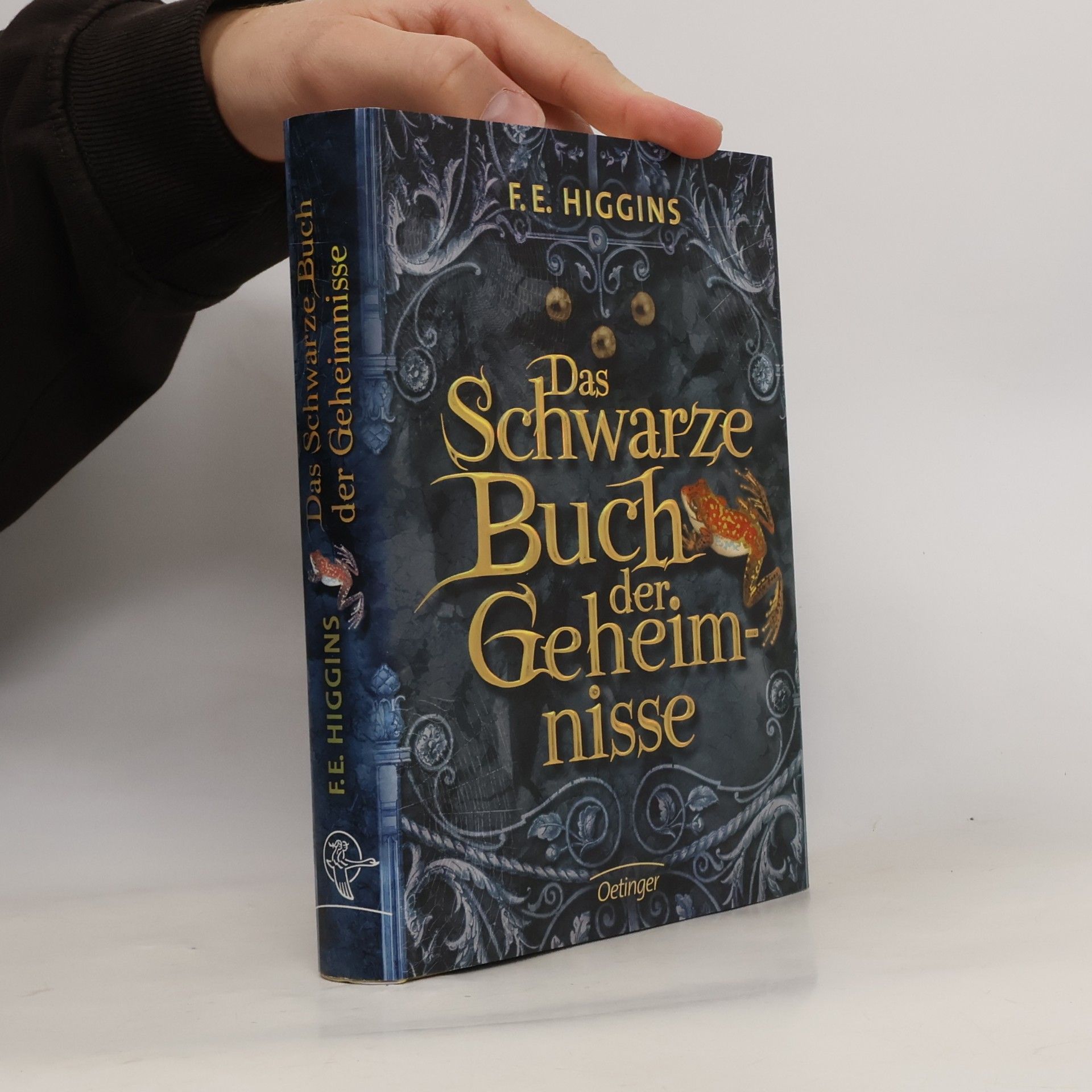 F. E. Higgins Das schwarze Buch der Geheimnisse