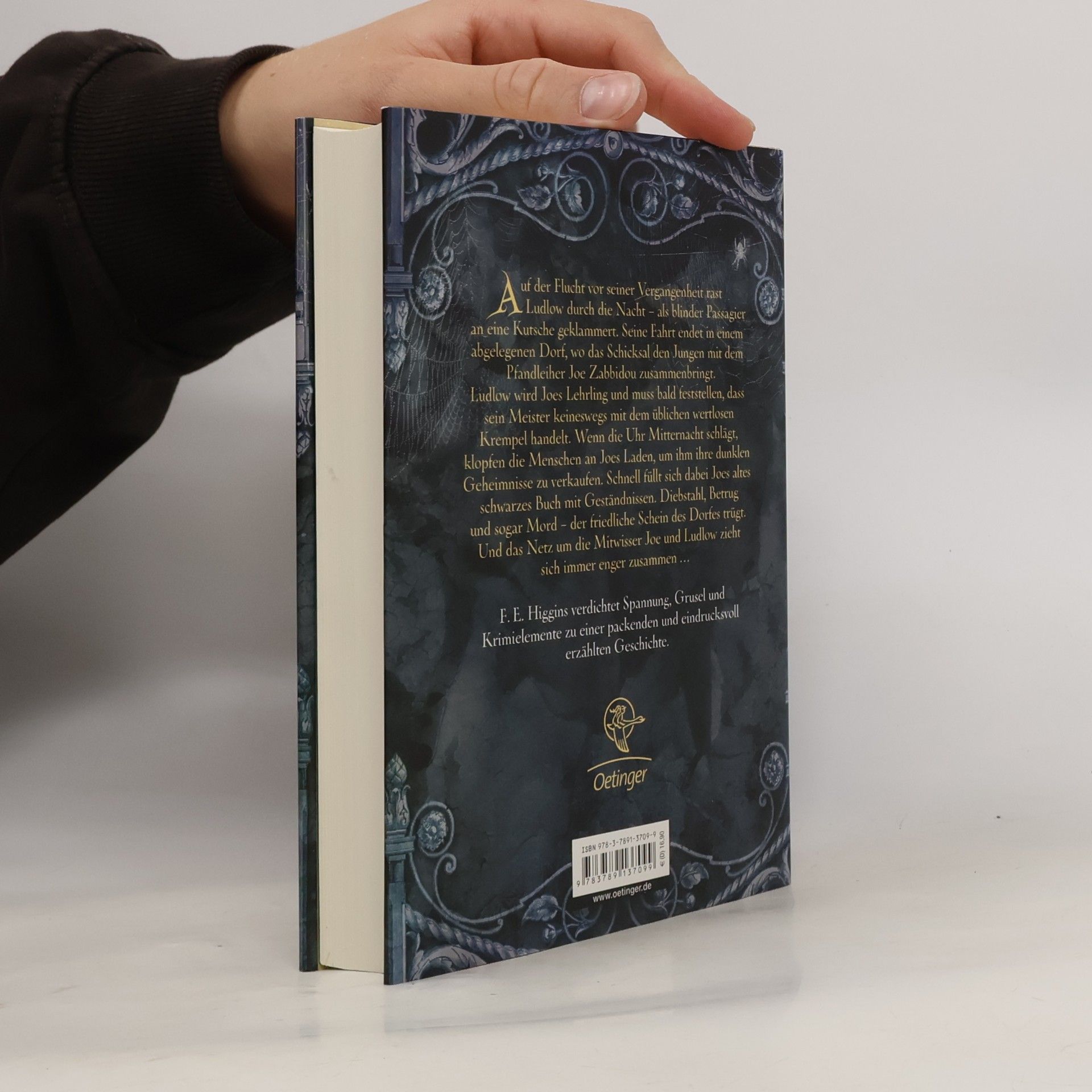 F. E. Higgins Das schwarze Buch der Geheimnisse