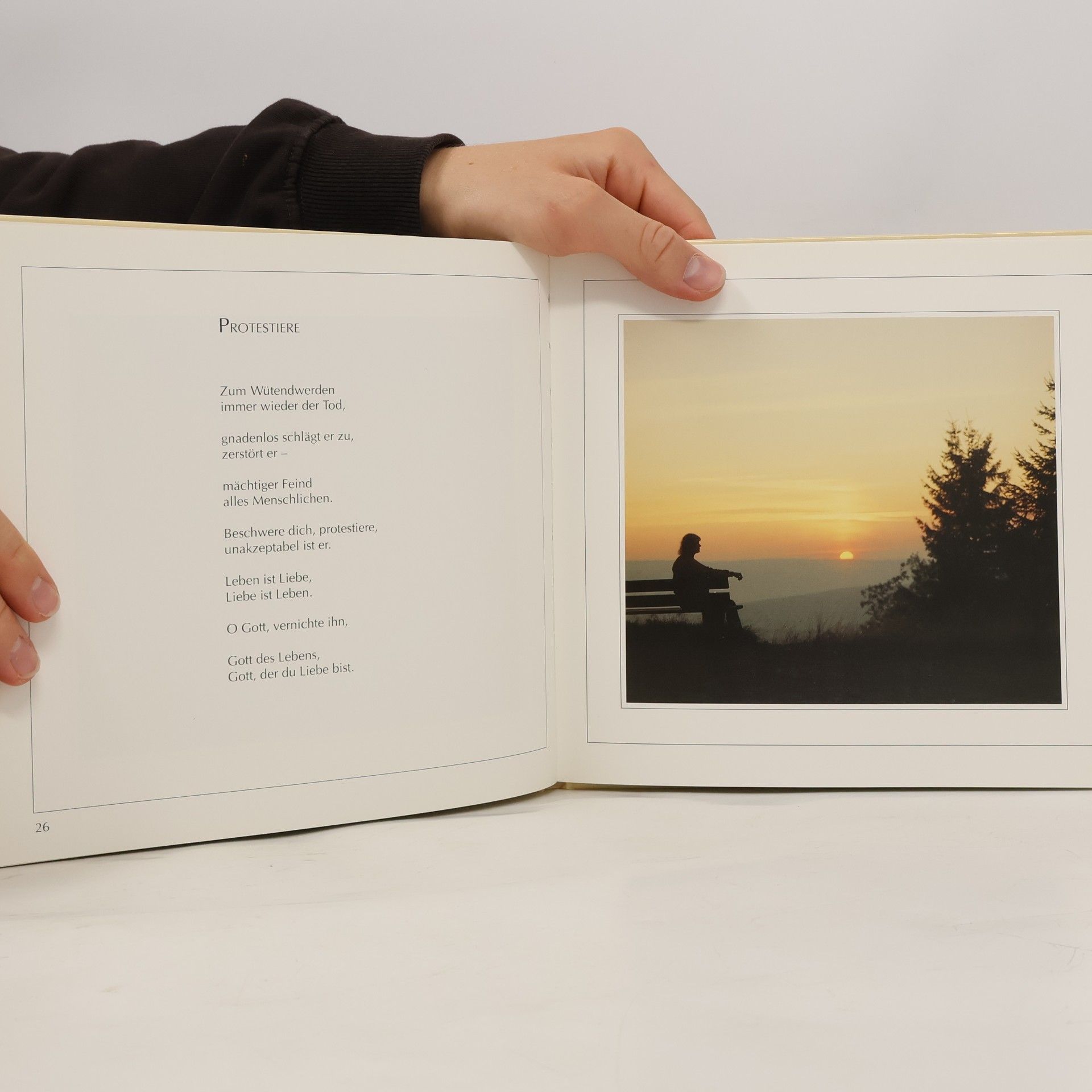 Hans Bouma Das Geheimnis der Liebe (Bild-Text-Bände)