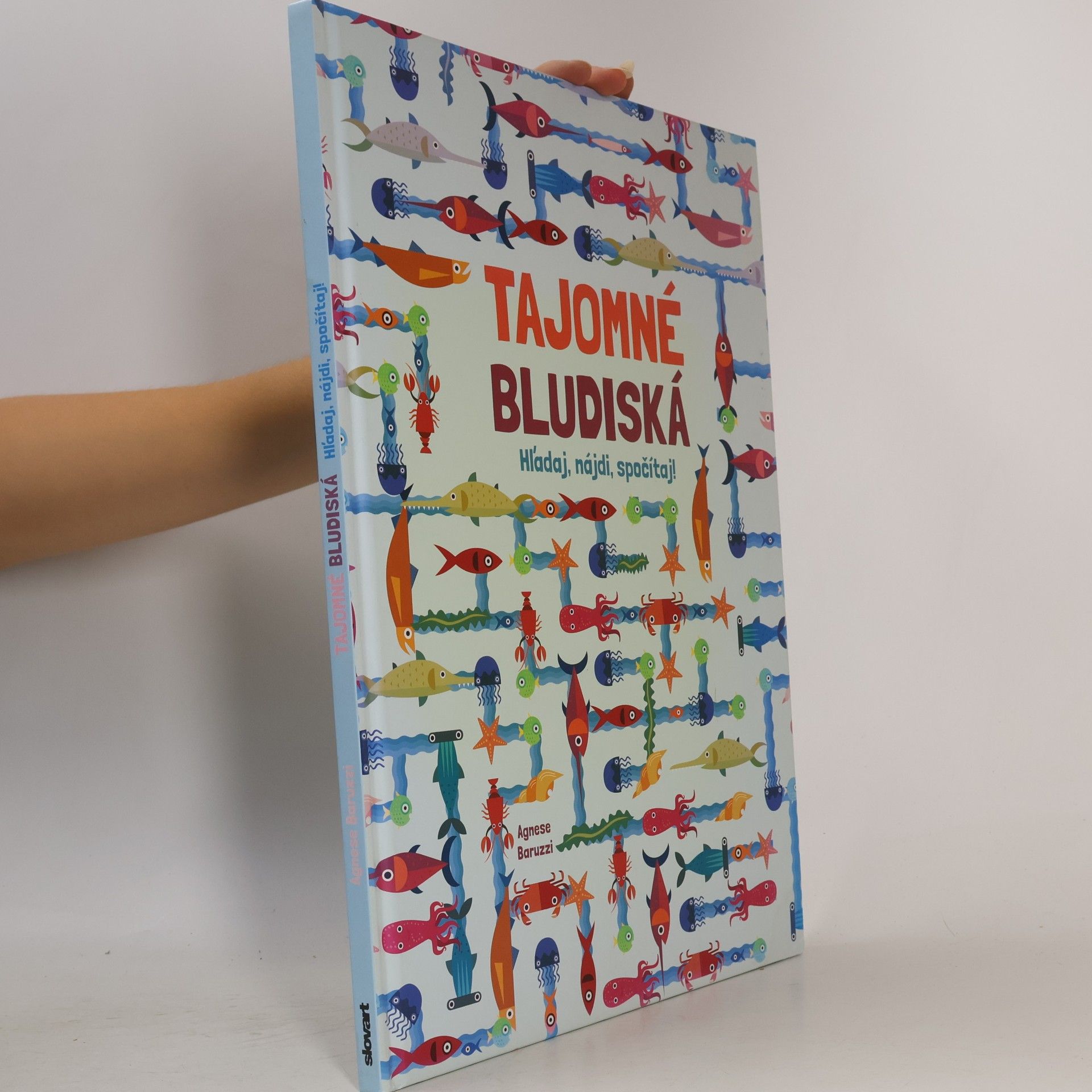 Agnese Baruzzi Tajomné bludiská