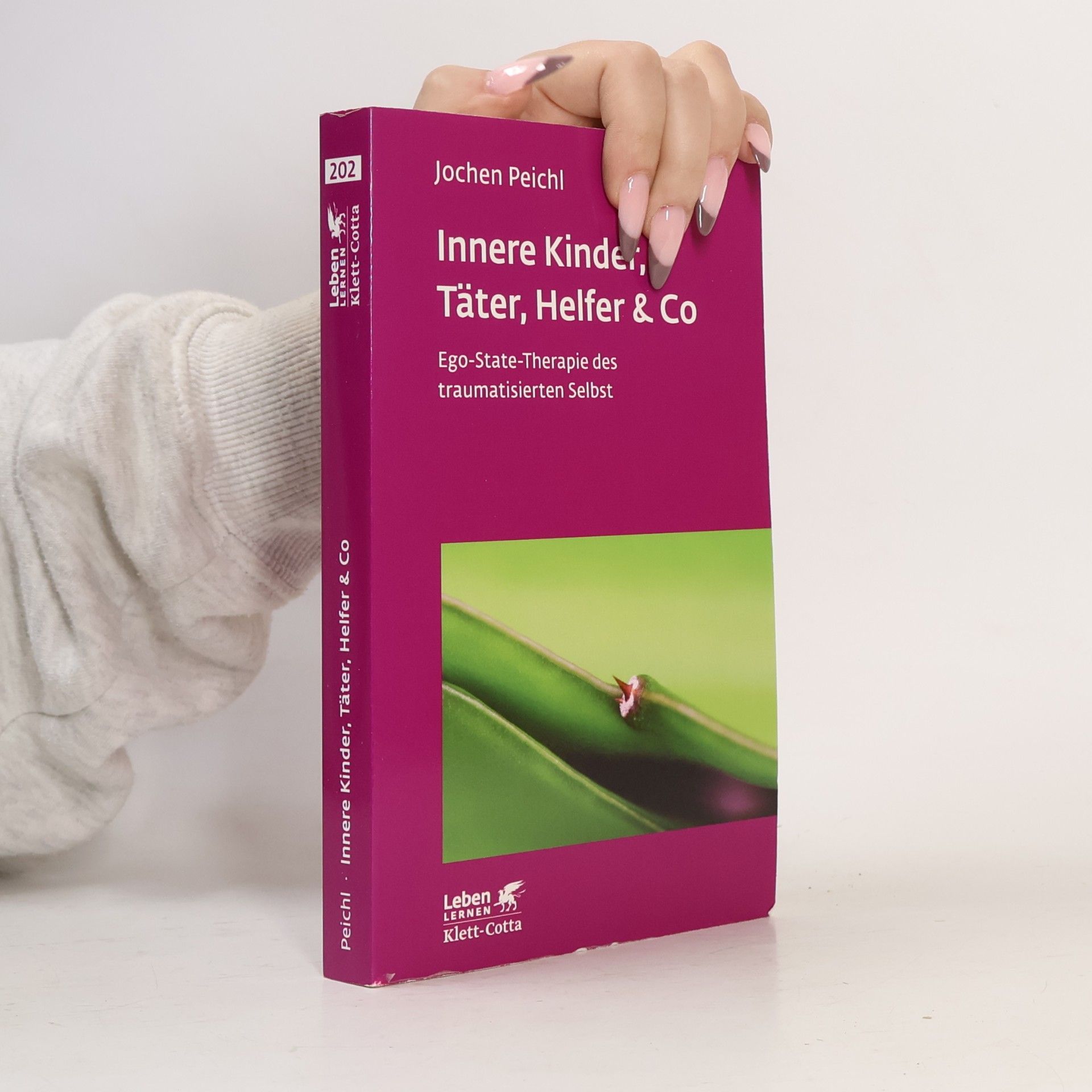 Jochen Peichl Innere Kinder, Täter, Helfer & Co