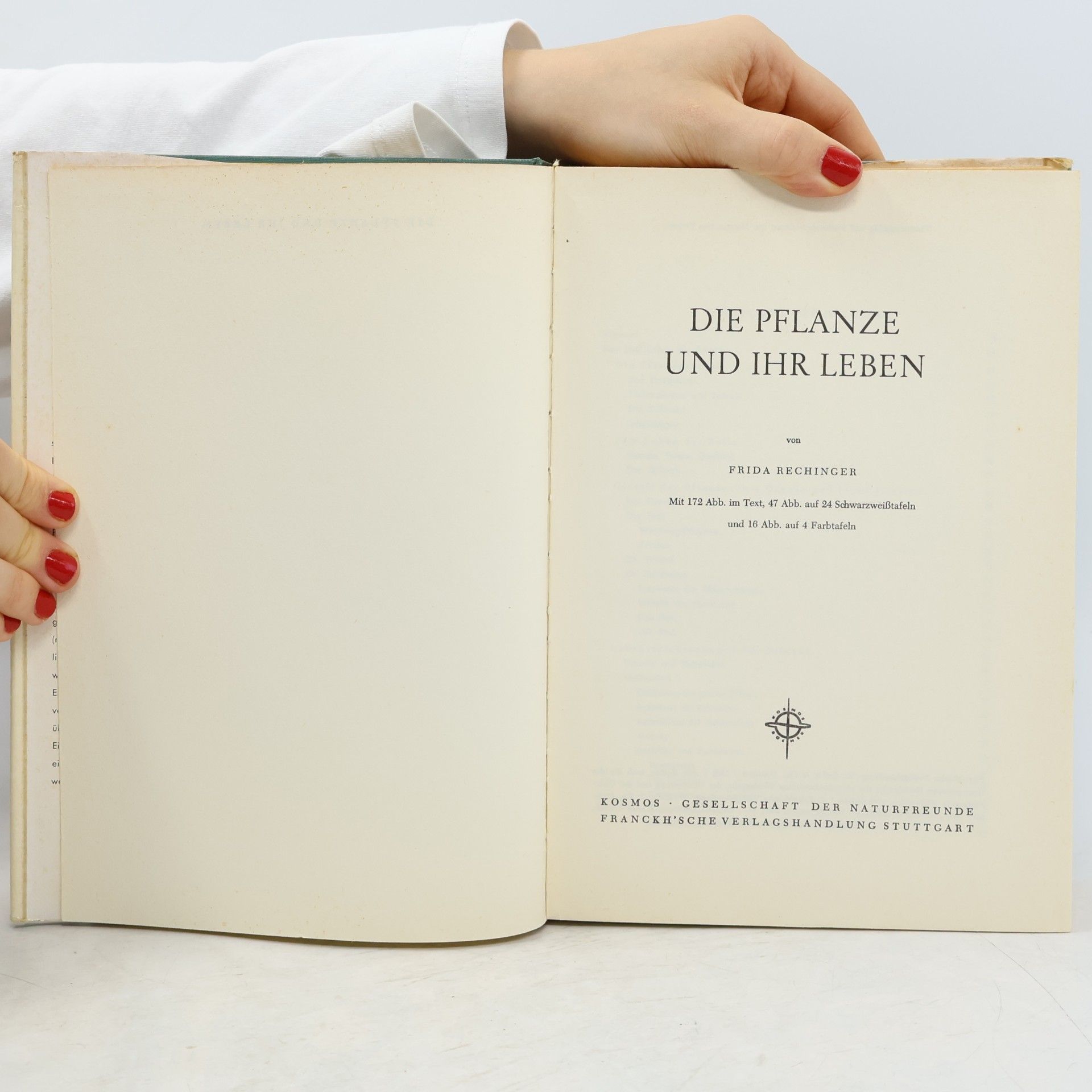Frida Rechinger Die Pflanze und ihr leben