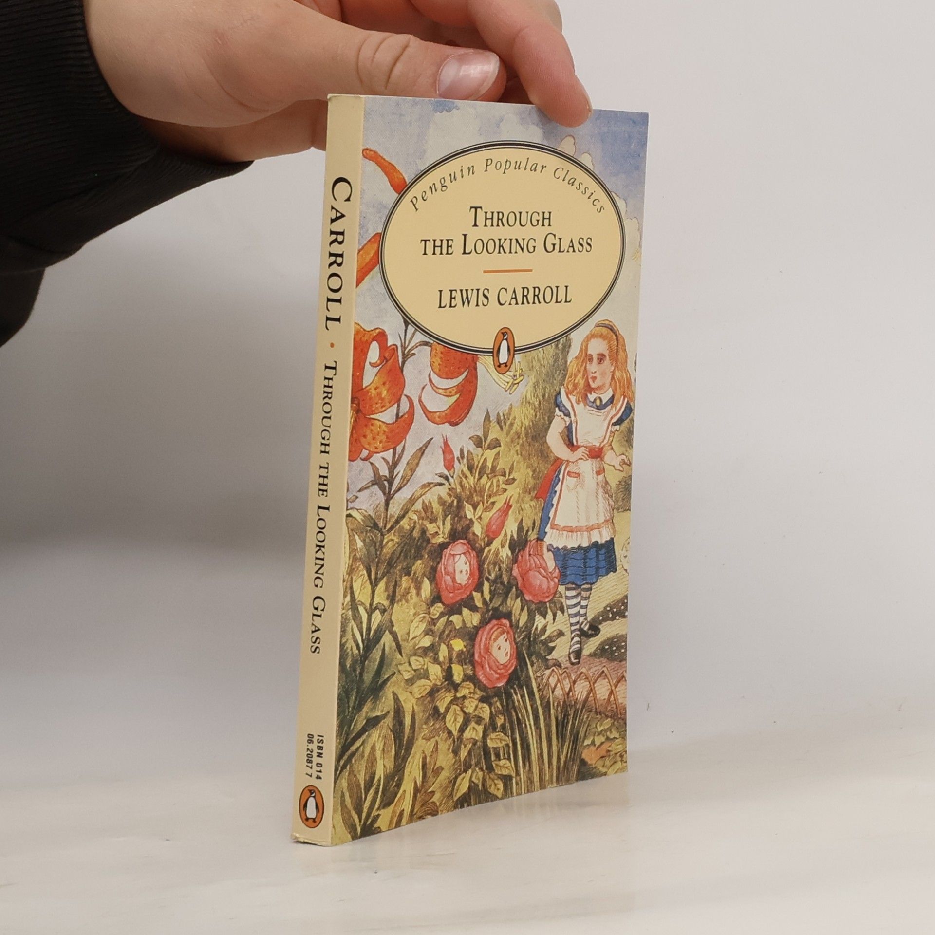 Lewis Carroll Through the Looking Glass