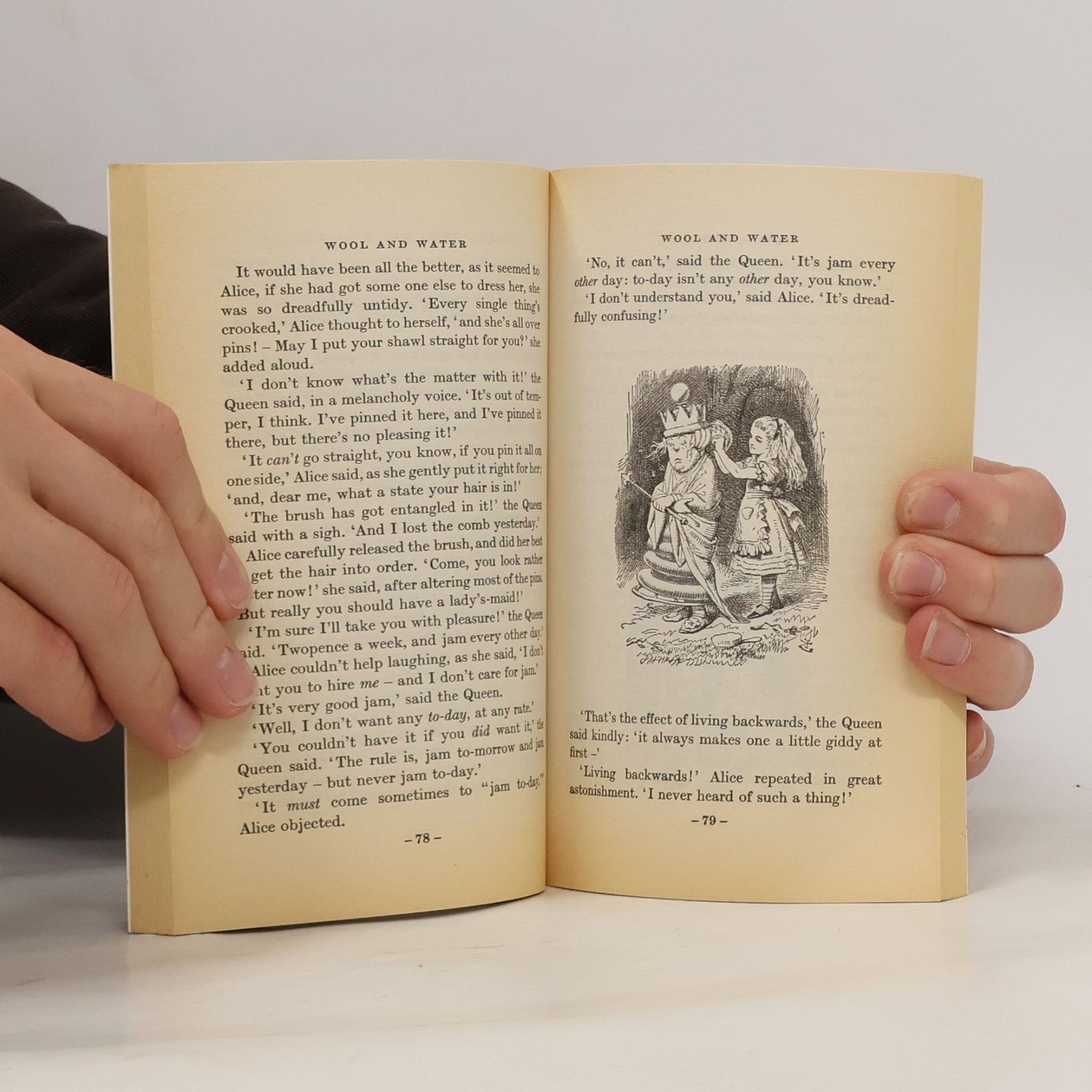 Lewis Carroll Through the Looking Glass