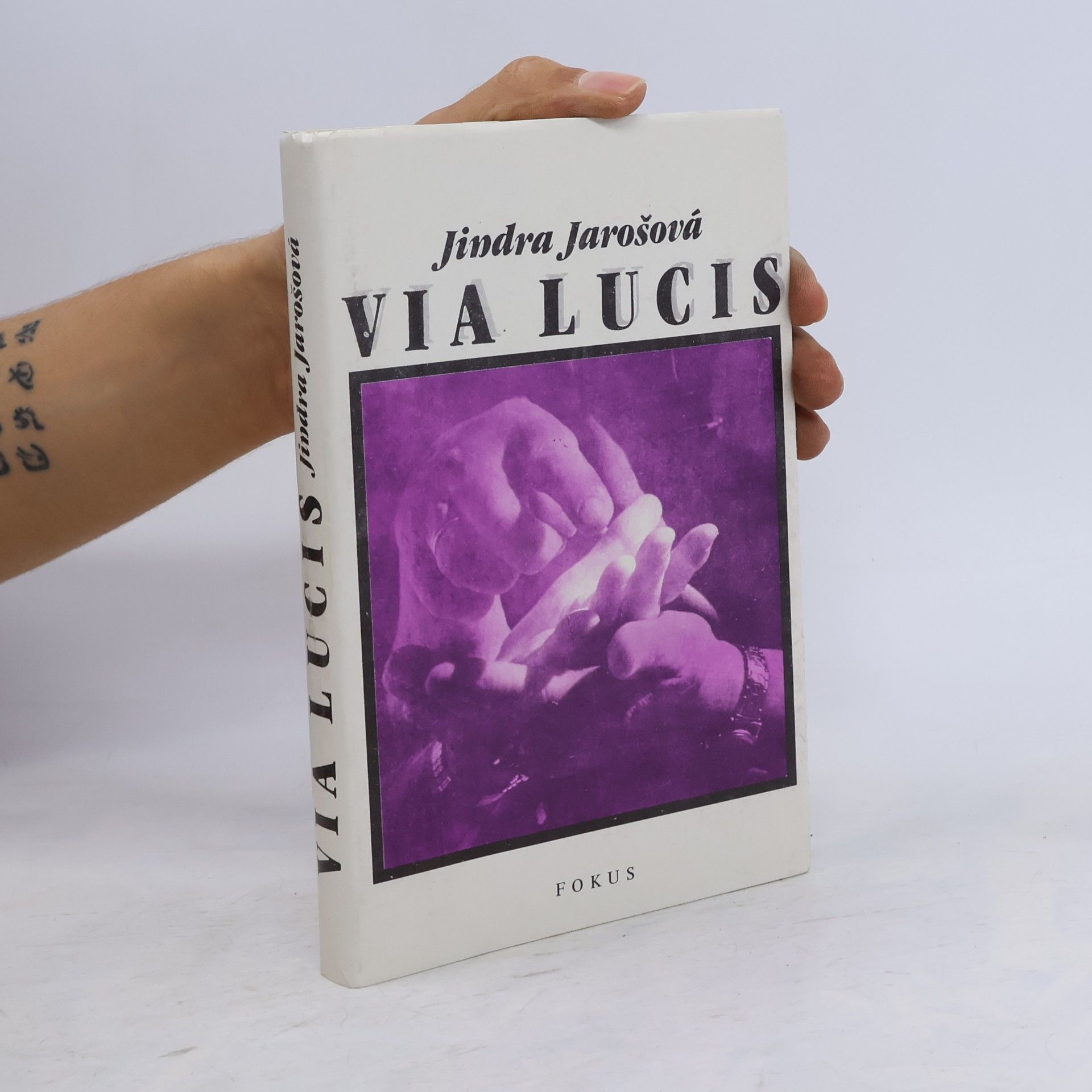 Jindra Jarošová Via Lucis