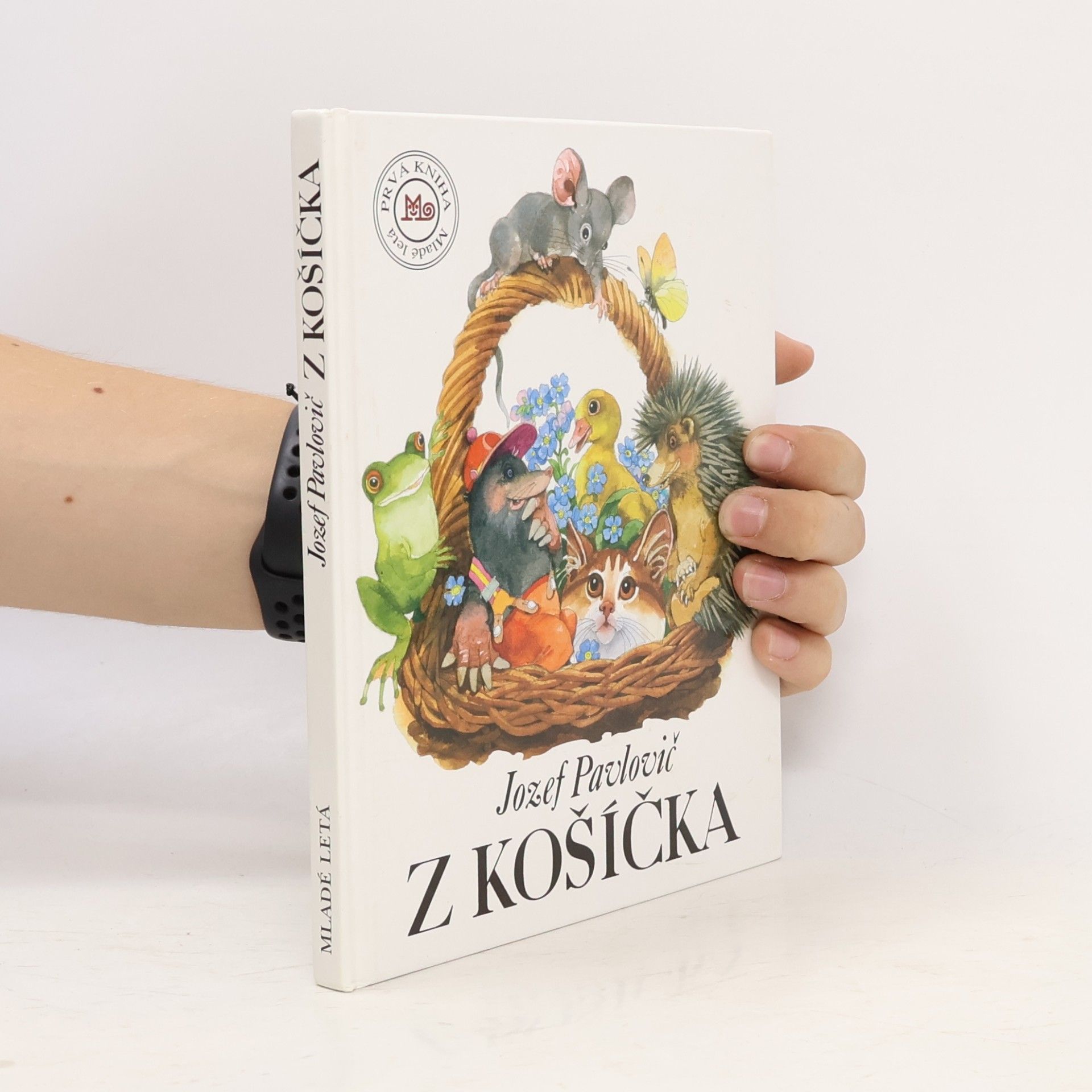 Jozef Pavlovič Z košíčka