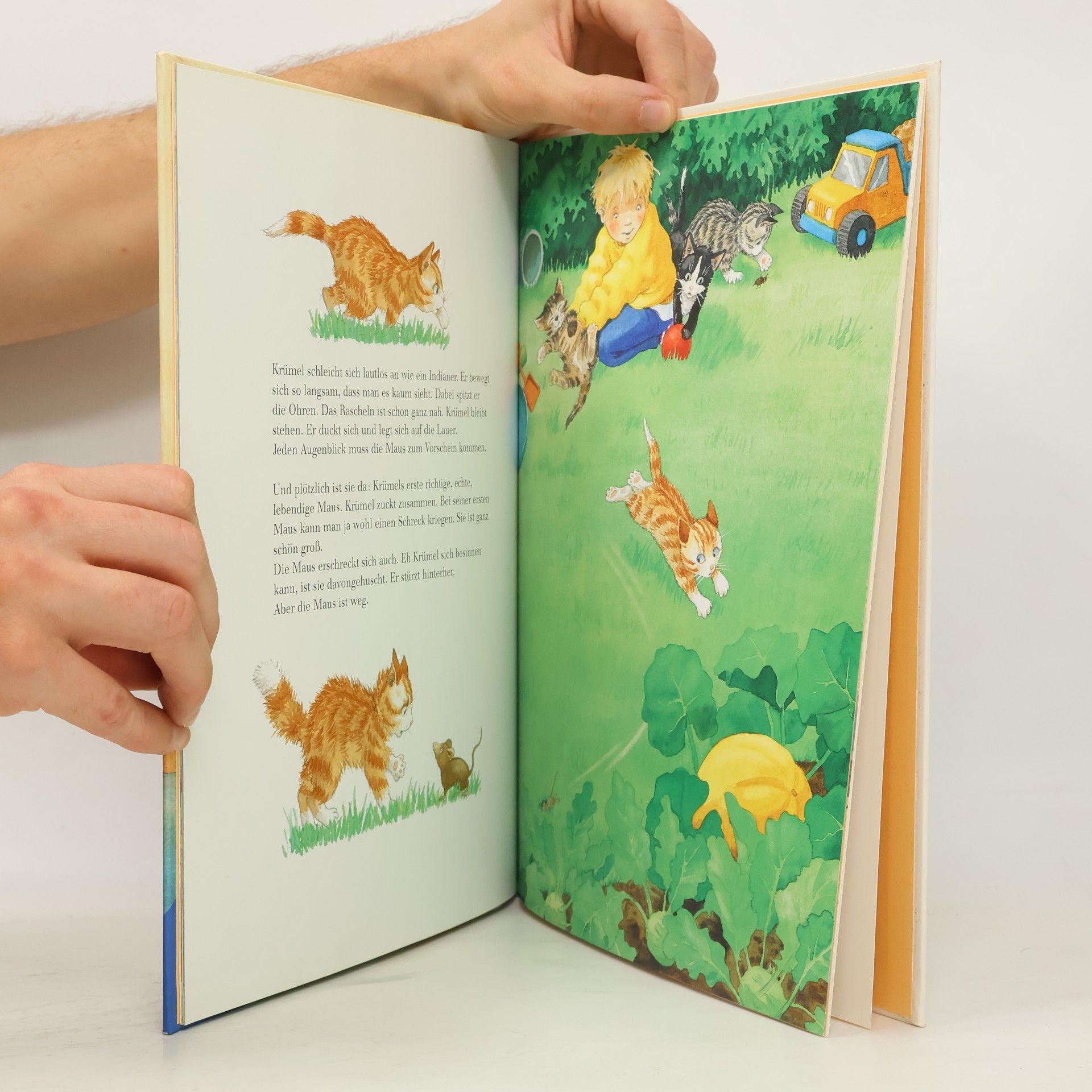 Marlis Scharff Kniemeyer Wie lebt die kleine Katze?